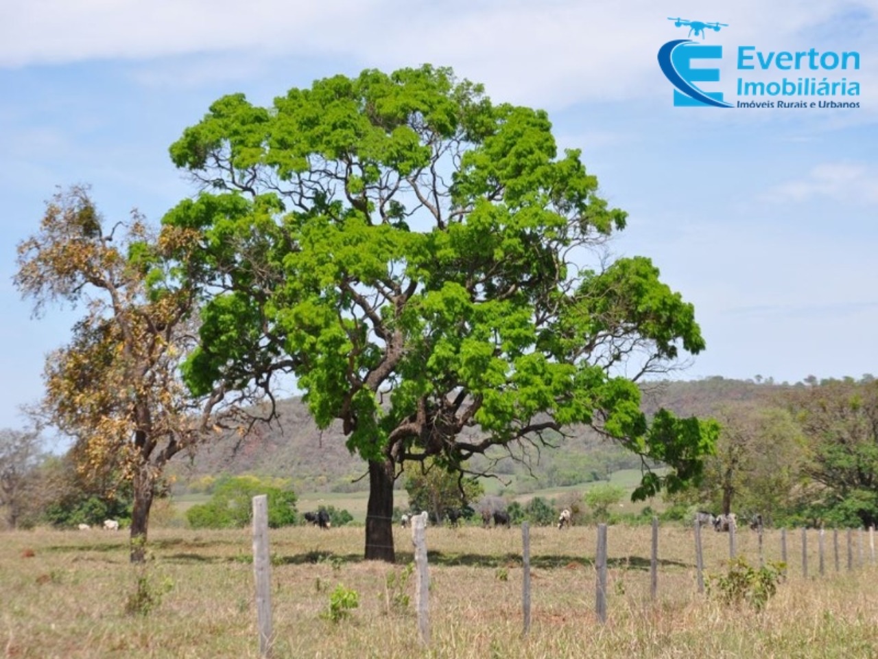 Fazenda em Gurinhatã/Minas Gerais — Ref BIHMOO — Imagem 14