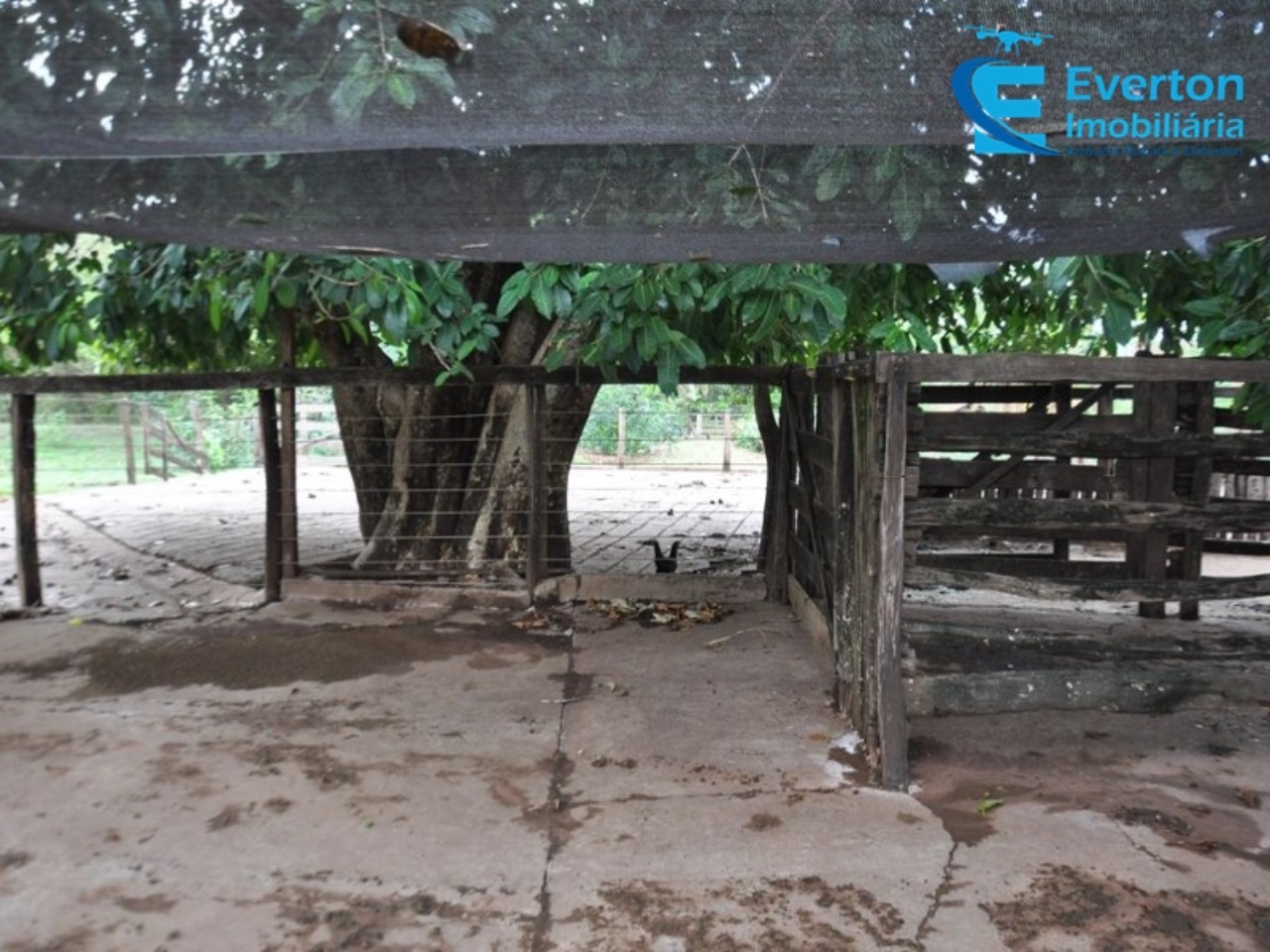 Fazenda em Gurinhatã/Minas Gerais — Ref BIHMOO — Imagem 4