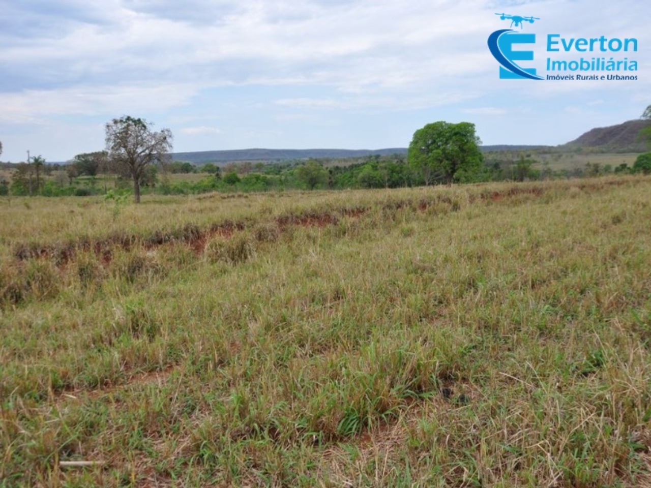 Fazenda em Gurinhatã/Minas Gerais — Ref BIHMOO — Imagem 18