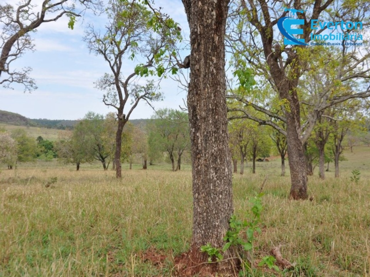 Fazenda em Gurinhatã/Minas Gerais — Ref BIHMOO — Imagem 16