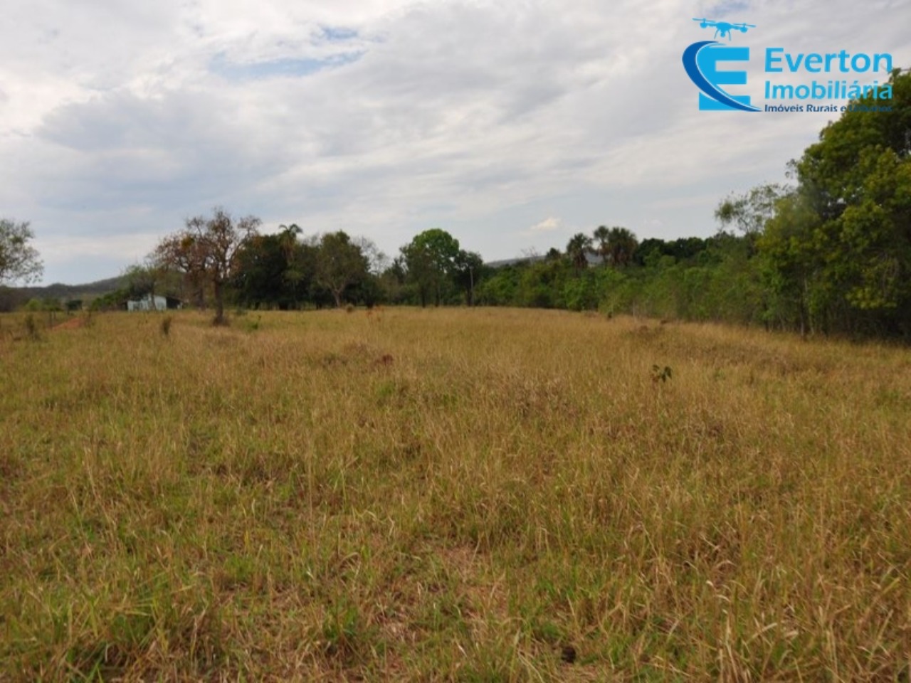 Fazenda em Gurinhatã/Minas Gerais — Ref BIHMOO — Imagem 19