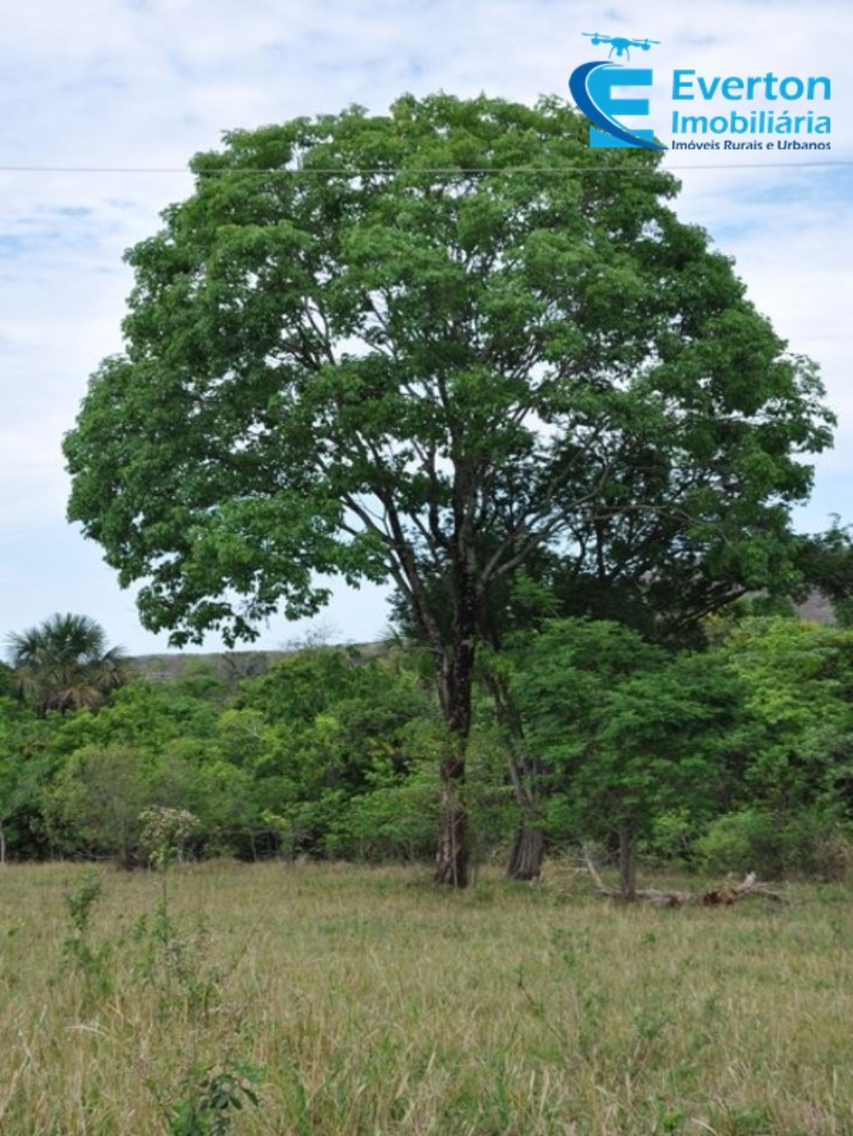 Fazenda em Gurinhatã/Minas Gerais — Ref BIHMOO — Imagem 15