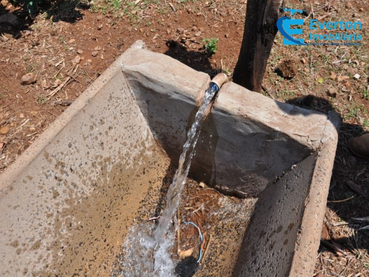 Fazenda em Gurinhatã/Minas Gerais — Ref BIHMOO — Imagem 8