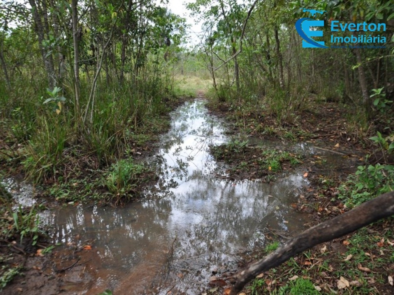 Fazenda em Gurinhatã/Minas Gerais — Ref BIHMOO — Imagem 21