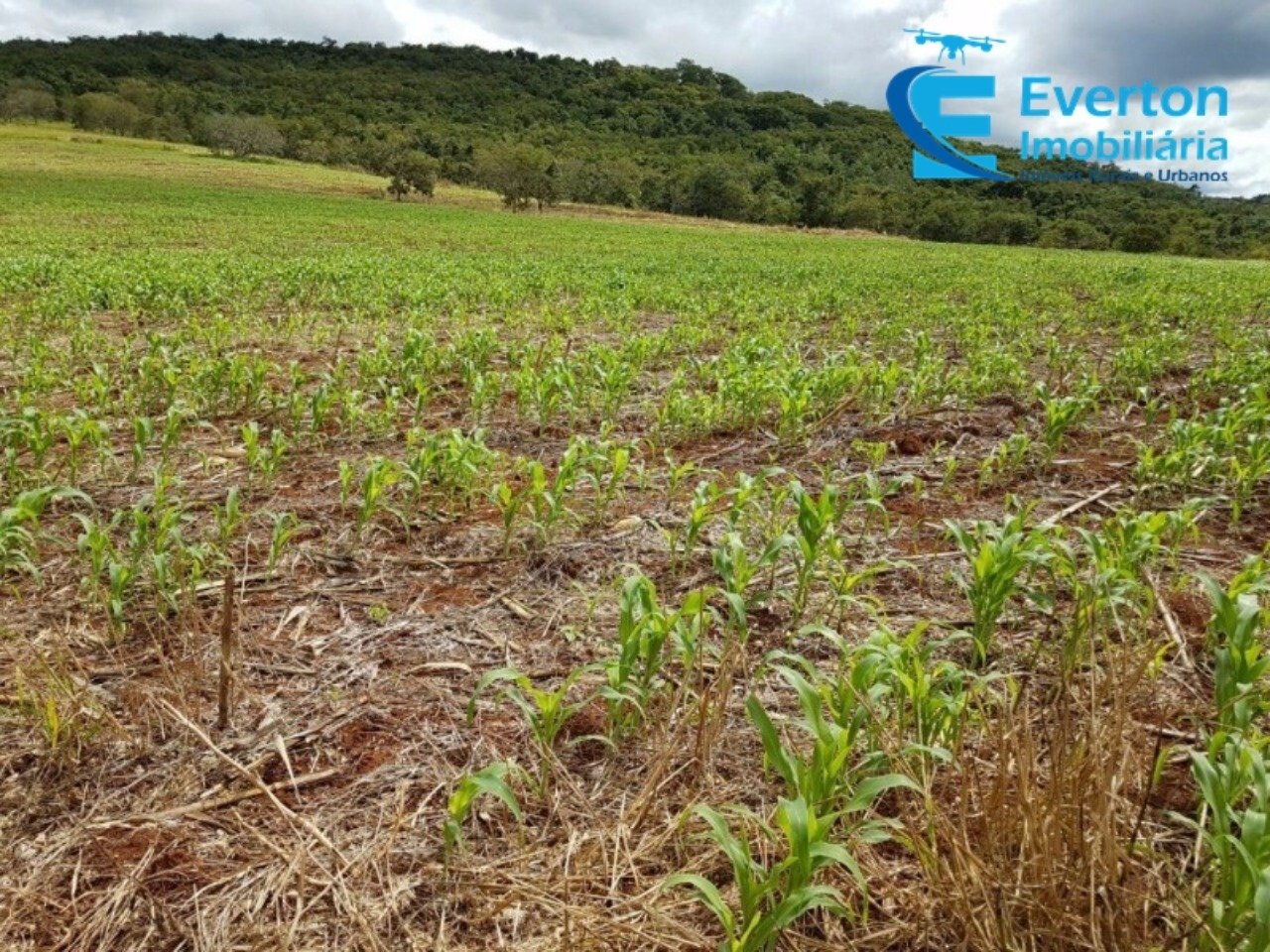 Sítio em Uberlândia/Minas Gerais — Ref LSUYWM — Imagem 15