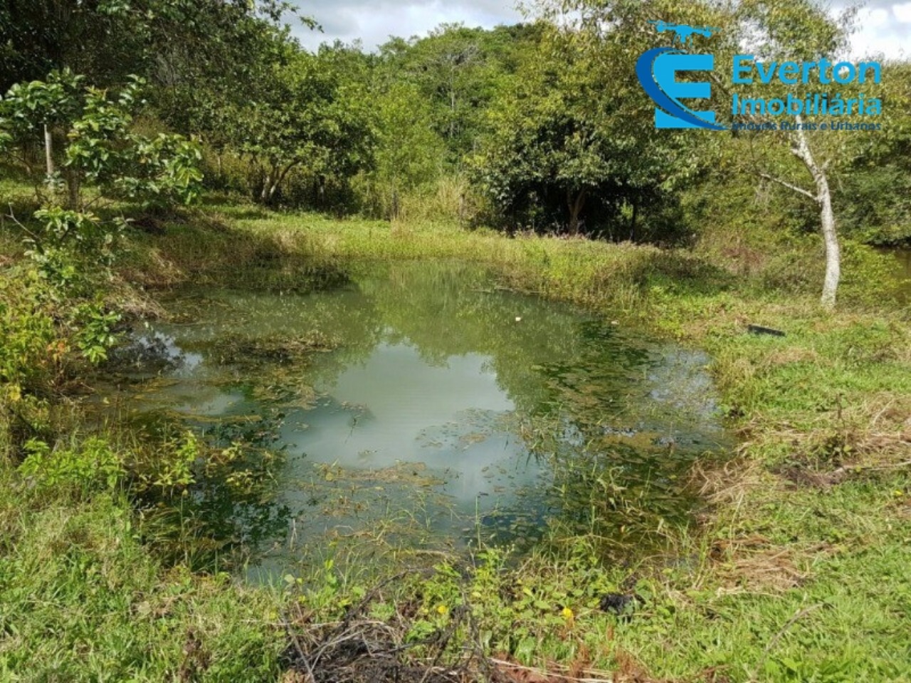 Sítio em Uberlândia/Minas Gerais — Ref LSUYWM — Imagem 14