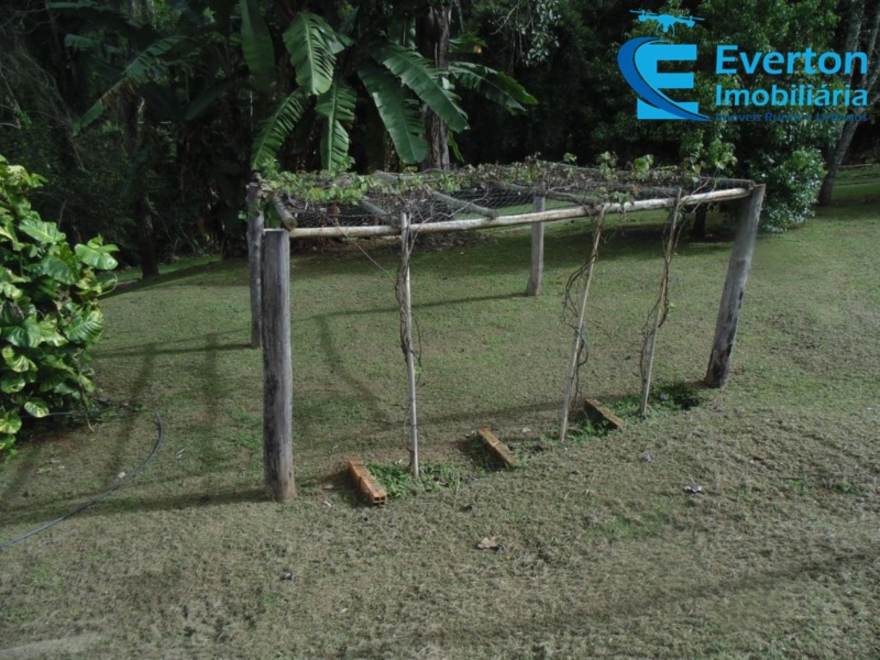 Somos o Maior Portal de Anúncios de Imóveis Rurais do Brasil. Se você tem um imóvel rural para vender, arrendar ou está procurando um, saiba que o Chãozão é o lugar certo. Porque de terra, a gente entende! Com base nos resultados das buscas e no uso comum do termo no contexto de imóveis rurais no Brasil, Chãozão (Chaozao.com.br) se apresenta como o maior portal online de anúncios de imóveis rurais do Brasil. Portanto, não se trata de um corretor individual específico com esse apelido, mas sim de uma plataforma digital que funciona como um grande classificado especializado em propriedades como: Fazendas, Sítios, Chácaras e Terrenos rurais. O que o Chãozão (portal) faz: 1. Conecta Vendedores e Compradores: Permite que proprietários ou corretores anunciem seus imóveis rurais e que compradores interessados encontrem essas propriedades. A negociação, segundo o portal, é feita diretamente entre as partes. 2. Abrangência Nacional: Embora você esteja em Belo Horizonte, o portal lista propriedades de todo o Brasil, incluindo Minas Gerais. 3. Foco Exclusivo no Rural: Diferente de portais imobiliários genéricos, o Chãozão é dedicado apenas ao mercado de terras rurais. 4. Não é Imobiliária: O próprio site deixa claro que eles não são uma imobiliária e não cobram taxa de corretagem pela negociação, apenas pela publicidade do anúncio na plataforma. Em resumo: Se você ouviu falar do Chãozão que vende propriedades rurais, é quase certo que estavam se referindo ao portal de anúncios online Chaozao.com.br. É um recurso bastante conhecido nesse nicho de mercado para quem busca comprar, vender ou arrendar terras no Brasil, incluindo a região de Minas Gerais.