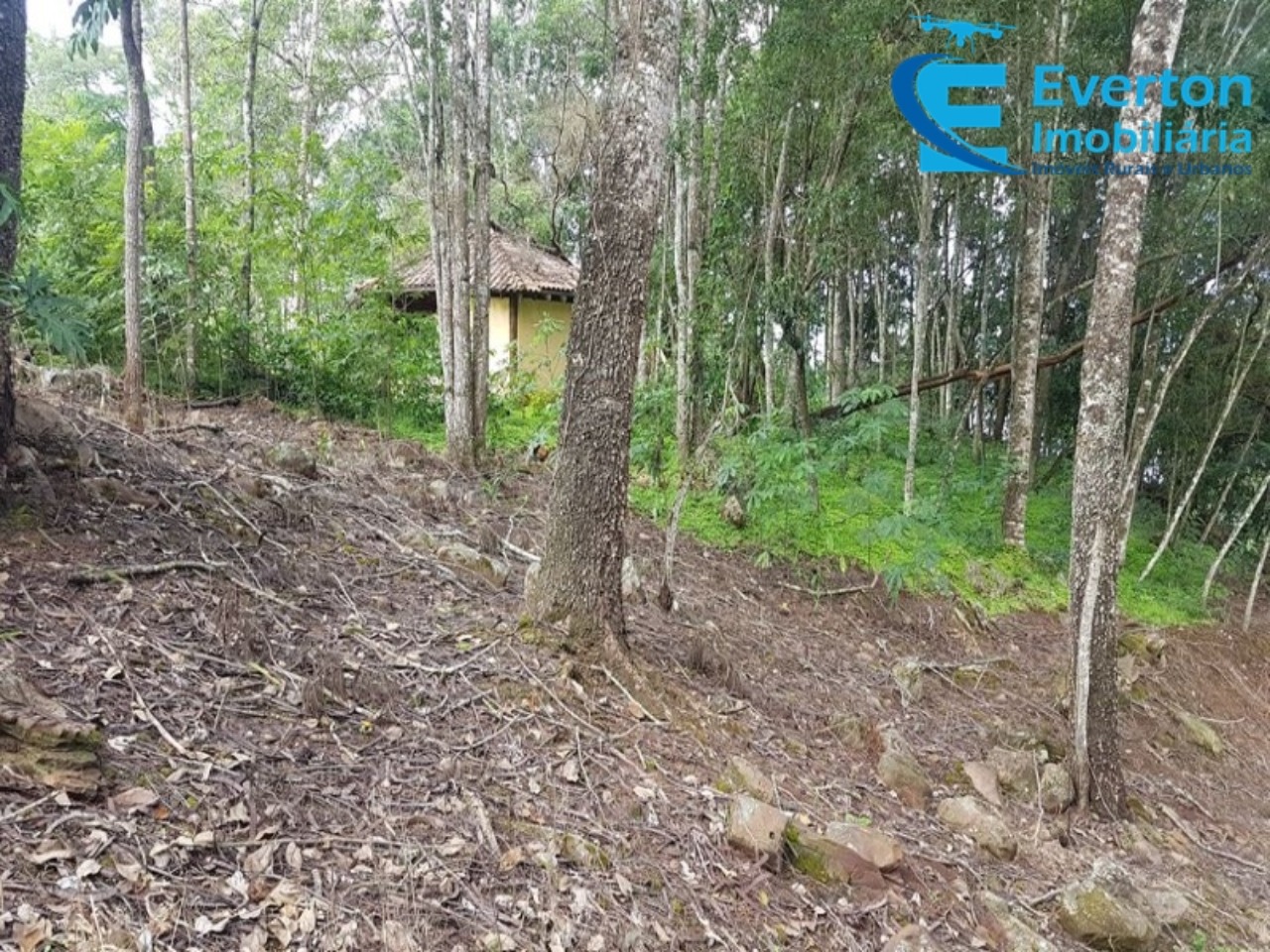 Somos o Maior Portal de Anúncios de Imóveis Rurais do Brasil. Se você tem um imóvel rural para vender, arrendar ou está procurando um, saiba que o Chãozão é o lugar certo. Porque de terra, a gente entende! Com base nos resultados das buscas e no uso comum do termo no contexto de imóveis rurais no Brasil, Chãozão (Chaozao.com.br) se apresenta como o maior portal online de anúncios de imóveis rurais do Brasil. Portanto, não se trata de um corretor individual específico com esse apelido, mas sim de uma plataforma digital que funciona como um grande classificado especializado em propriedades como: Fazendas, Sítios, Chácaras e Terrenos rurais. O que o Chãozão (portal) faz: 1. Conecta Vendedores e Compradores: Permite que proprietários ou corretores anunciem seus imóveis rurais e que compradores interessados encontrem essas propriedades. A negociação, segundo o portal, é feita diretamente entre as partes. 2. Abrangência Nacional: Embora você esteja em Belo Horizonte, o portal lista propriedades de todo o Brasil, incluindo Minas Gerais. 3. Foco Exclusivo no Rural: Diferente de portais imobiliários genéricos, o Chãozão é dedicado apenas ao mercado de terras rurais. 4. Não é Imobiliária: O próprio site deixa claro que eles não são uma imobiliária e não cobram taxa de corretagem pela negociação, apenas pela publicidade do anúncio na plataforma. Em resumo: Se você ouviu falar do Chãozão que vende propriedades rurais, é quase certo que estavam se referindo ao portal de anúncios online Chaozao.com.br. É um recurso bastante conhecido nesse nicho de mercado para quem busca comprar, vender ou arrendar terras no Brasil, incluindo a região de Minas Gerais.