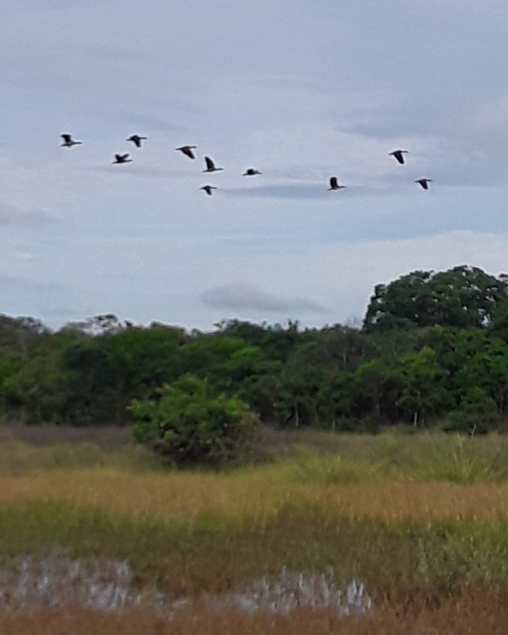 Fazenda em Santa Fé de Minas/Minas Gerais — Ref CCO92K — Imagem 10