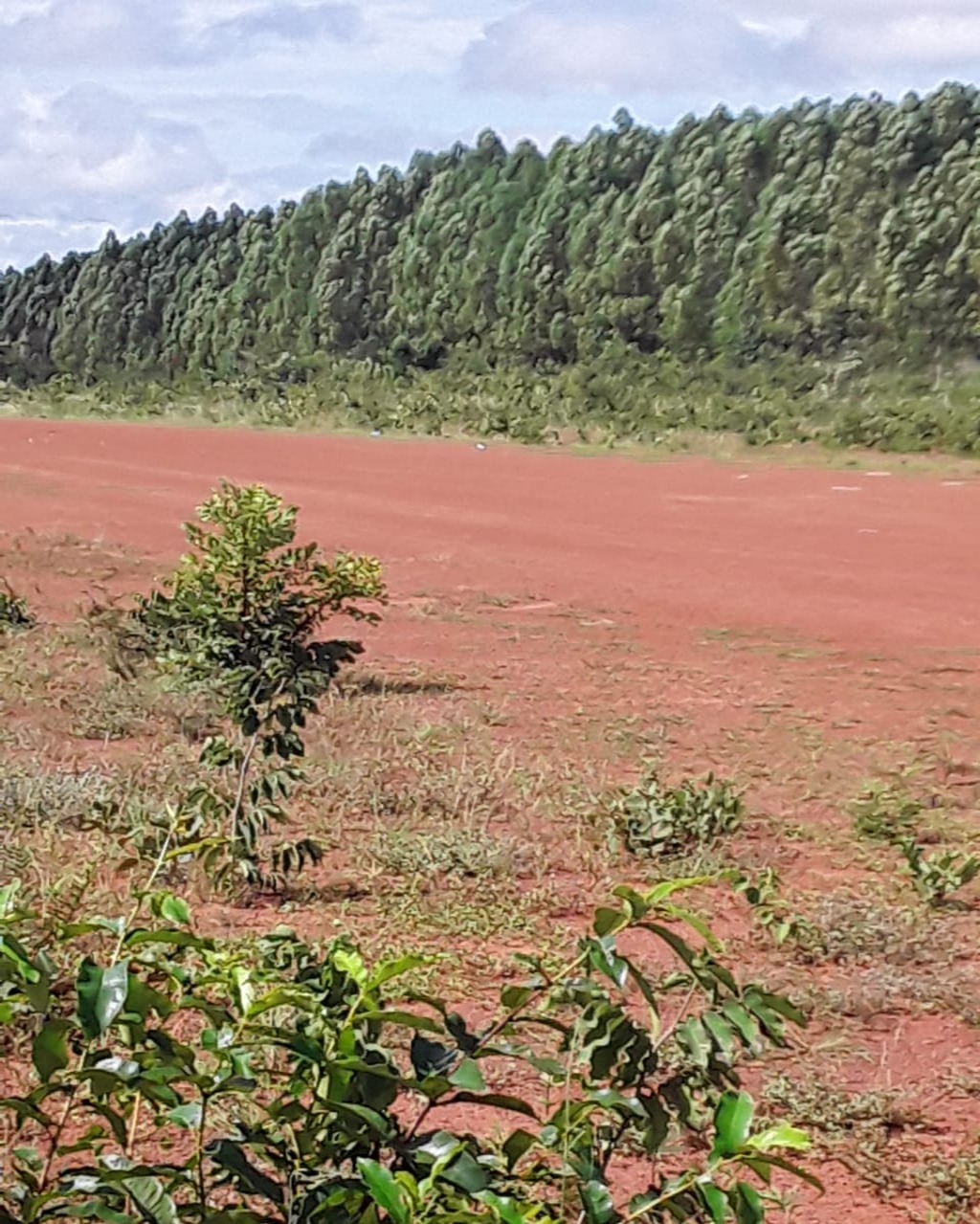 Fazenda em Santa Fé de Minas/Minas Gerais — Ref CCO92K — Imagem 4