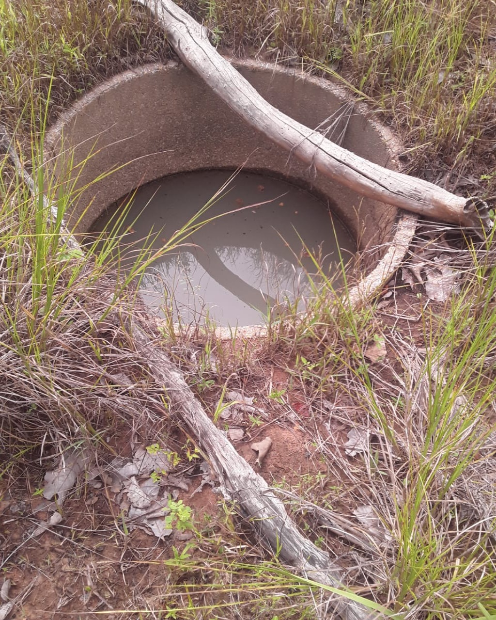 Fazenda em Santa Fé de Minas/Minas Gerais — Ref CCO92K — Imagem 7