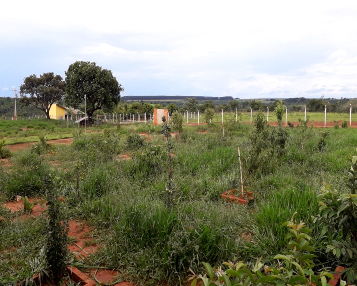 Chácara em Uberlândia/Minas Gerais — Ref MEZ1KJ — Imagem 6