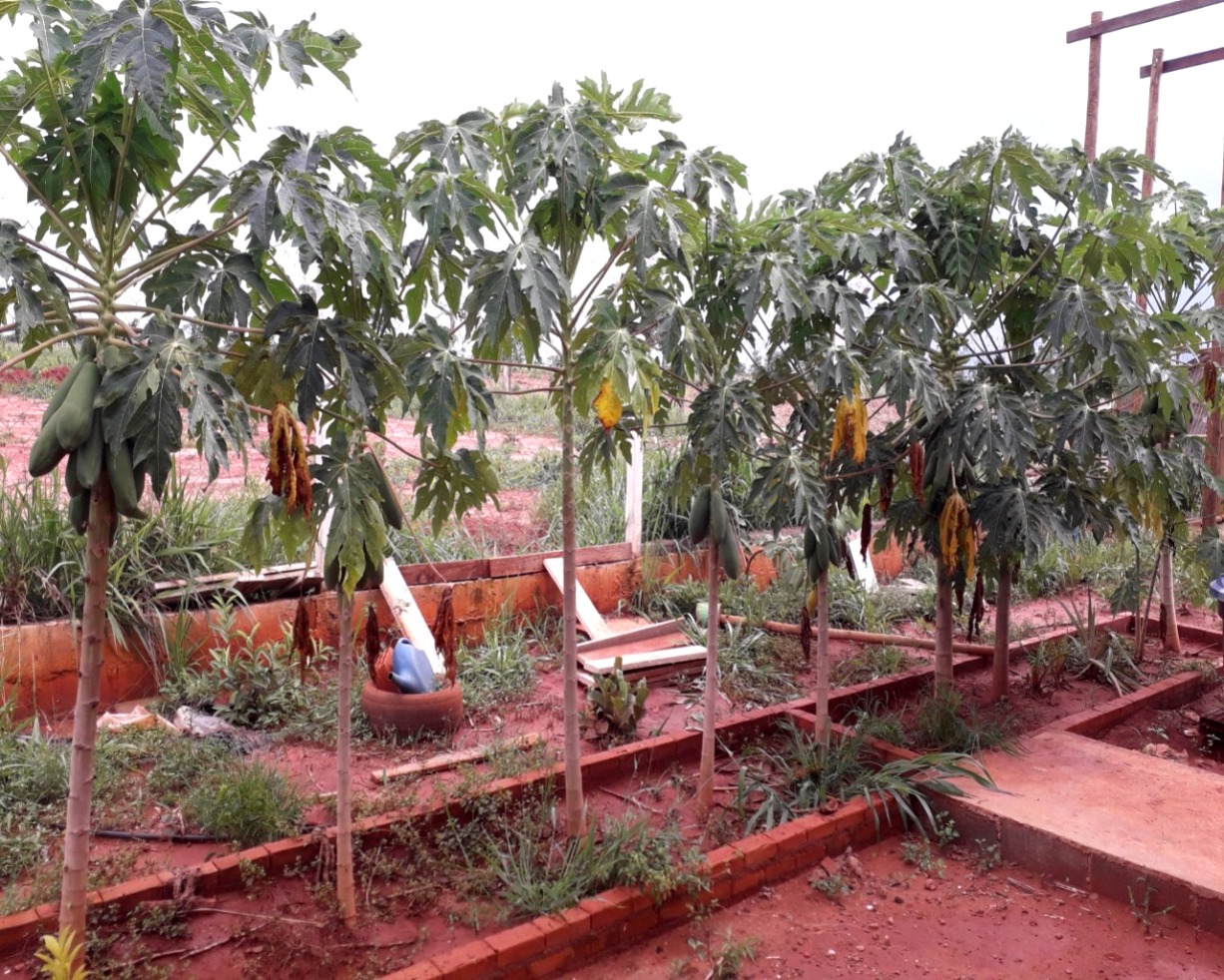 Chácara em Uberlândia/Minas Gerais — Ref MEZ1KJ — Imagem 2