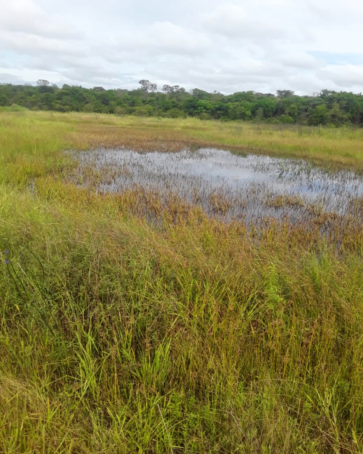 Fazenda em Santa Fé de Minas/Minas Gerais — Ref CCO92K — Imagem 2