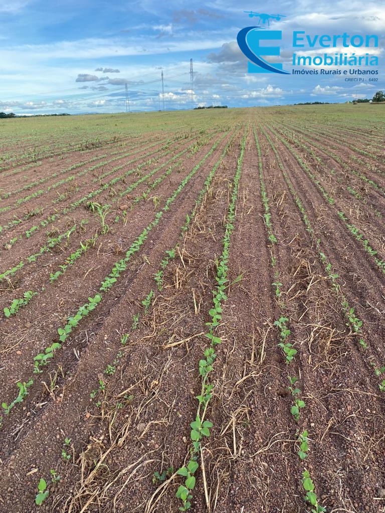 Fazenda em Gurupi/Tocantins — Ref M3BVFQ — Imagem 3