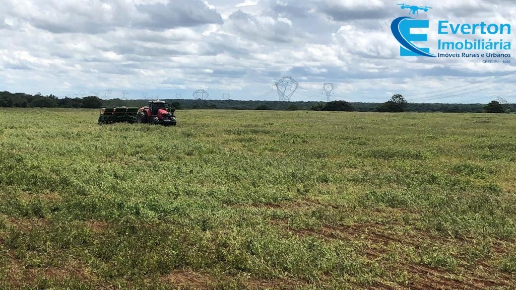 Fazenda em Gurupi/Tocantins — Ref M3BVFQ — Imagem 7