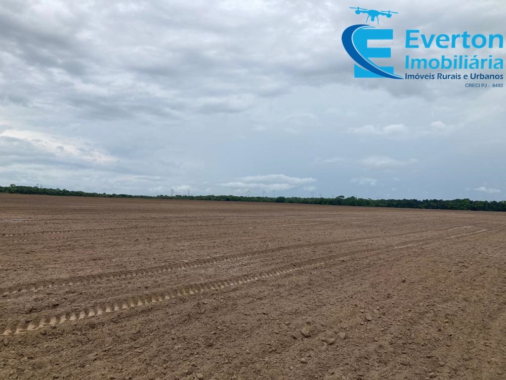 Fazenda em Gurupi/Tocantins — Ref M3BVFQ — Imagem 4