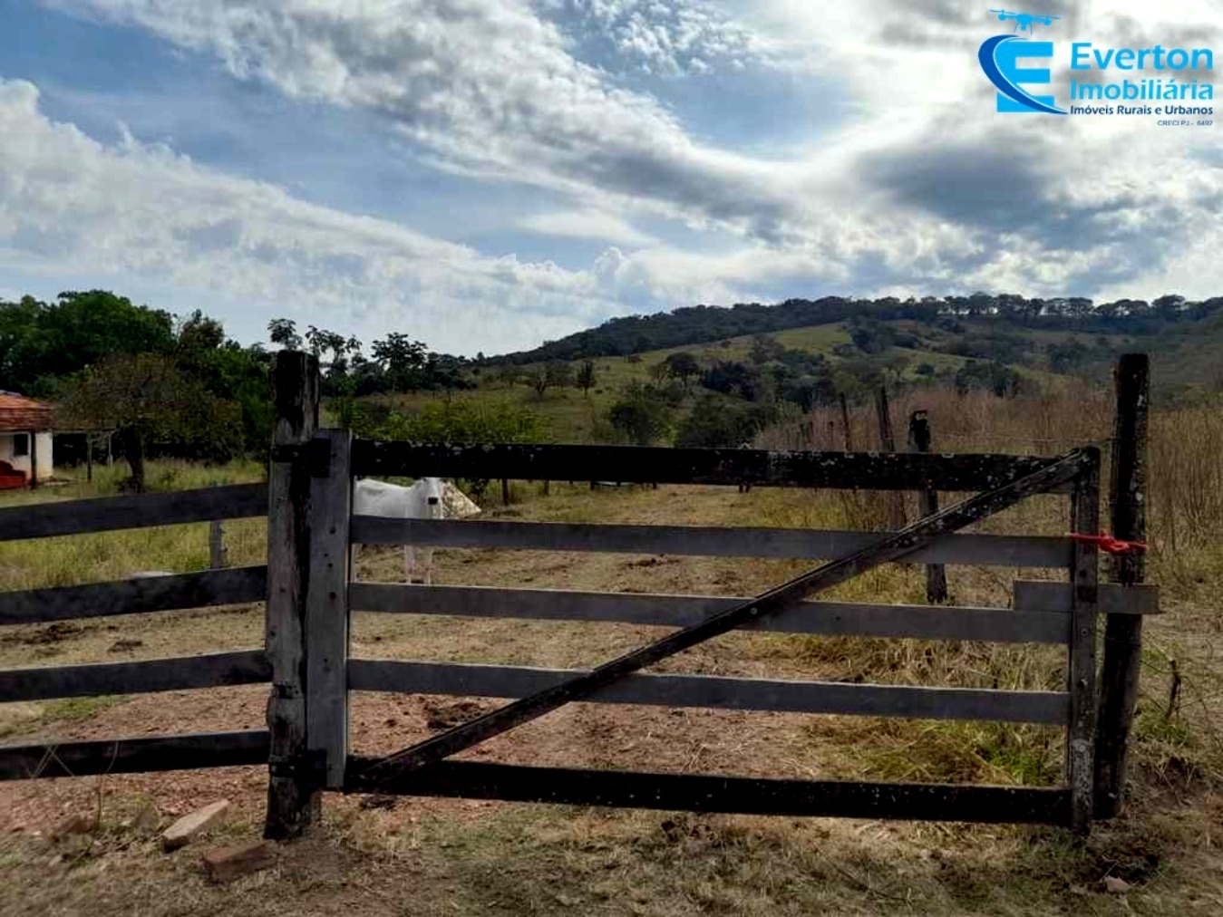 Somos o Maior Portal de Anúncios de Imóveis Rurais do Brasil. Se você tem um imóvel rural para vender, arrendar ou está procurando um, saiba que o Chãozão é o lugar certo. Porque de terra, a gente entende! Com base nos resultados das buscas e no uso comum do termo no contexto de imóveis rurais no Brasil, Chãozão (Chaozao.com.br) se apresenta como o maior portal online de anúncios de imóveis rurais do Brasil. Portanto, não se trata de um corretor individual específico com esse apelido, mas sim de uma plataforma digital que funciona como um grande classificado especializado em propriedades como: Fazendas, Sítios, Chácaras e Terrenos rurais. O que o Chãozão (portal) faz: 1. Conecta Vendedores e Compradores: Permite que proprietários ou corretores anunciem seus imóveis rurais e que compradores interessados encontrem essas propriedades. A negociação, segundo o portal, é feita diretamente entre as partes. 2. Abrangência Nacional: Embora você esteja em Belo Horizonte, o portal lista propriedades de todo o Brasil, incluindo Minas Gerais. 3. Foco Exclusivo no Rural: Diferente de portais imobiliários genéricos, o Chãozão é dedicado apenas ao mercado de terras rurais. 4. Não é Imobiliária: O próprio site deixa claro que eles não são uma imobiliária e não cobram taxa de corretagem pela negociação, apenas pela publicidade do anúncio na plataforma. Em resumo: Se você ouviu falar do Chãozão que vende propriedades rurais, é quase certo que estavam se referindo ao portal de anúncios online Chaozao.com.br. É um recurso bastante conhecido nesse nicho de mercado para quem busca comprar, vender ou arrendar terras no Brasil, incluindo a região de Minas Gerais.