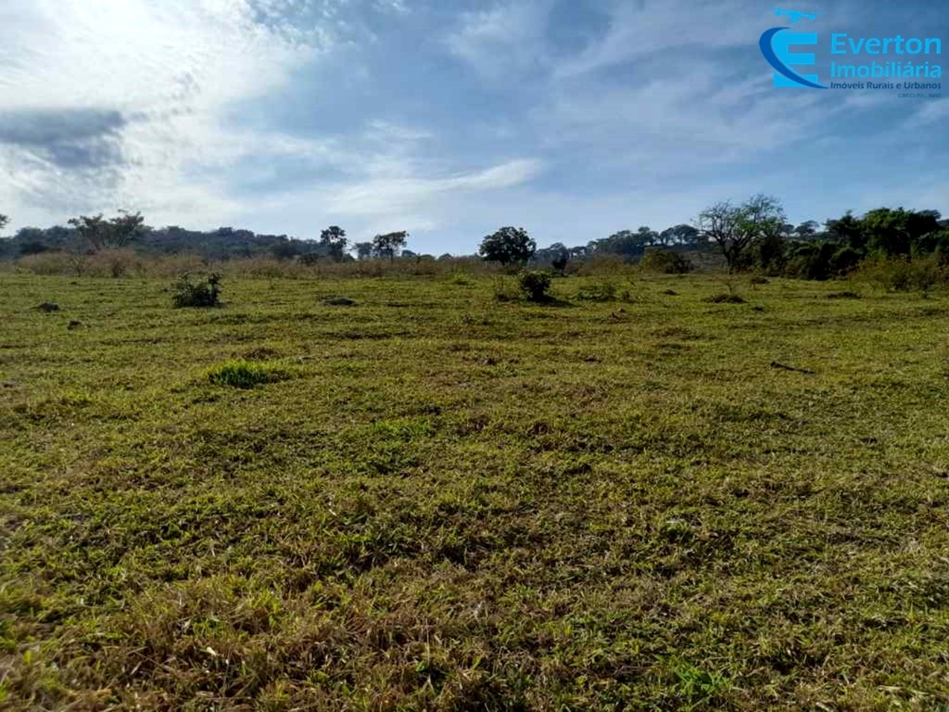 Somos o Maior Portal de Anúncios de Imóveis Rurais do Brasil. Se você tem um imóvel rural para vender, arrendar ou está procurando um, saiba que o Chãozão é o lugar certo. Porque de terra, a gente entende! Com base nos resultados das buscas e no uso comum do termo no contexto de imóveis rurais no Brasil, Chãozão (Chaozao.com.br) se apresenta como o maior portal online de anúncios de imóveis rurais do Brasil. Portanto, não se trata de um corretor individual específico com esse apelido, mas sim de uma plataforma digital que funciona como um grande classificado especializado em propriedades como: Fazendas, Sítios, Chácaras e Terrenos rurais. O que o Chãozão (portal) faz: 1. Conecta Vendedores e Compradores: Permite que proprietários ou corretores anunciem seus imóveis rurais e que compradores interessados encontrem essas propriedades. A negociação, segundo o portal, é feita diretamente entre as partes. 2. Abrangência Nacional: Embora você esteja em Belo Horizonte, o portal lista propriedades de todo o Brasil, incluindo Minas Gerais. 3. Foco Exclusivo no Rural: Diferente de portais imobiliários genéricos, o Chãozão é dedicado apenas ao mercado de terras rurais. 4. Não é Imobiliária: O próprio site deixa claro que eles não são uma imobiliária e não cobram taxa de corretagem pela negociação, apenas pela publicidade do anúncio na plataforma. Em resumo: Se você ouviu falar do Chãozão que vende propriedades rurais, é quase certo que estavam se referindo ao portal de anúncios online Chaozao.com.br. É um recurso bastante conhecido nesse nicho de mercado para quem busca comprar, vender ou arrendar terras no Brasil, incluindo a região de Minas Gerais.