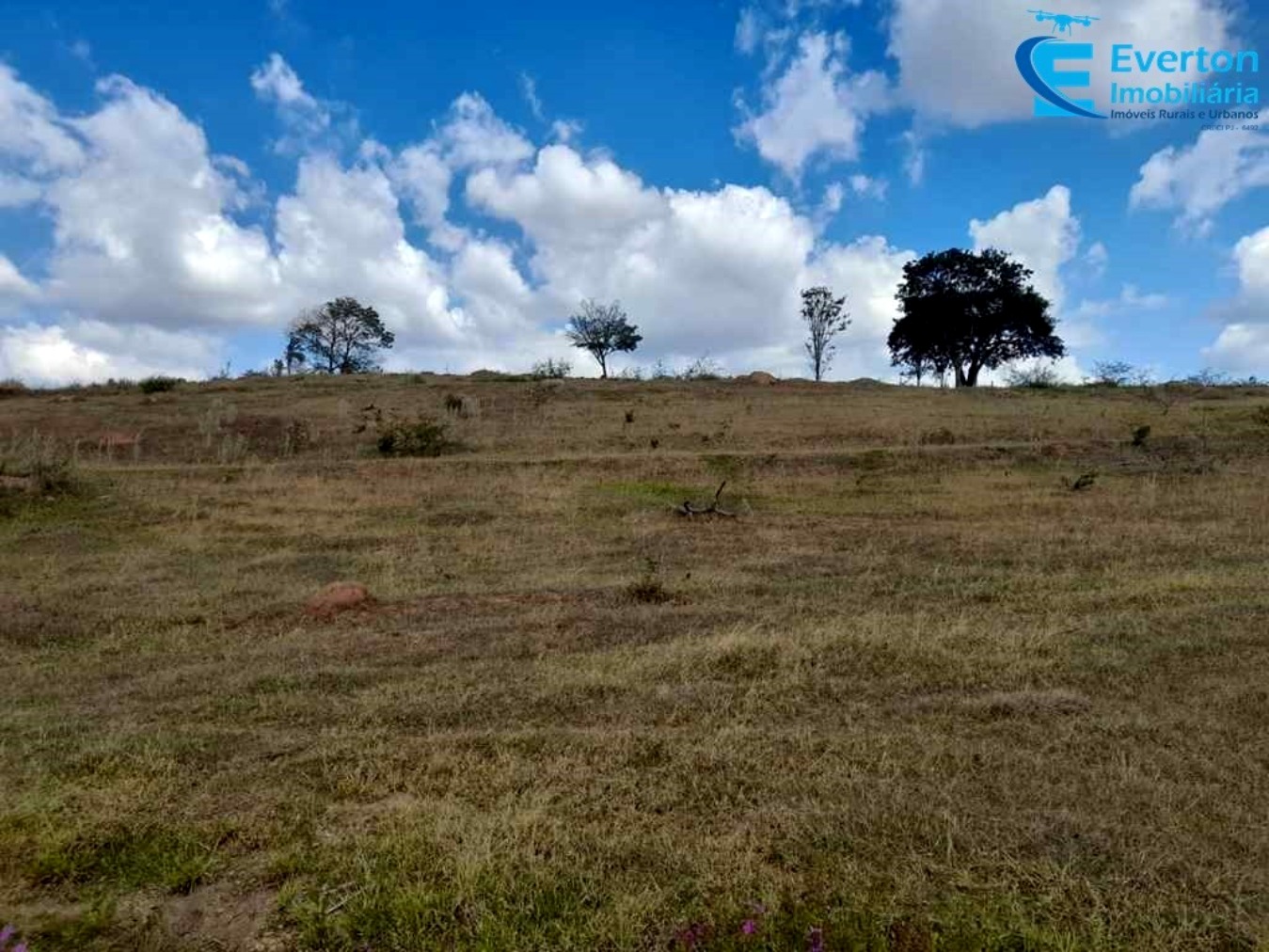 Somos o Maior Portal de Anúncios de Imóveis Rurais do Brasil. Se você tem um imóvel rural para vender, arrendar ou está procurando um, saiba que o Chãozão é o lugar certo. Porque de terra, a gente entende! Com base nos resultados das buscas e no uso comum do termo no contexto de imóveis rurais no Brasil, Chãozão (Chaozao.com.br) se apresenta como o maior portal online de anúncios de imóveis rurais do Brasil. Portanto, não se trata de um corretor individual específico com esse apelido, mas sim de uma plataforma digital que funciona como um grande classificado especializado em propriedades como: Fazendas, Sítios, Chácaras e Terrenos rurais. O que o Chãozão (portal) faz: 1. Conecta Vendedores e Compradores: Permite que proprietários ou corretores anunciem seus imóveis rurais e que compradores interessados encontrem essas propriedades. A negociação, segundo o portal, é feita diretamente entre as partes. 2. Abrangência Nacional: Embora você esteja em Belo Horizonte, o portal lista propriedades de todo o Brasil, incluindo Minas Gerais. 3. Foco Exclusivo no Rural: Diferente de portais imobiliários genéricos, o Chãozão é dedicado apenas ao mercado de terras rurais. 4. Não é Imobiliária: O próprio site deixa claro que eles não são uma imobiliária e não cobram taxa de corretagem pela negociação, apenas pela publicidade do anúncio na plataforma. Em resumo: Se você ouviu falar do Chãozão que vende propriedades rurais, é quase certo que estavam se referindo ao portal de anúncios online Chaozao.com.br. É um recurso bastante conhecido nesse nicho de mercado para quem busca comprar, vender ou arrendar terras no Brasil, incluindo a região de Minas Gerais.