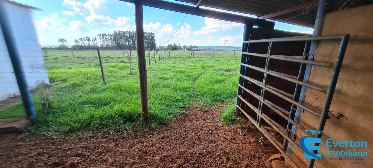 Sítio em Uberlândia/Minas Gerais — Ref R105FM — Imagem 5