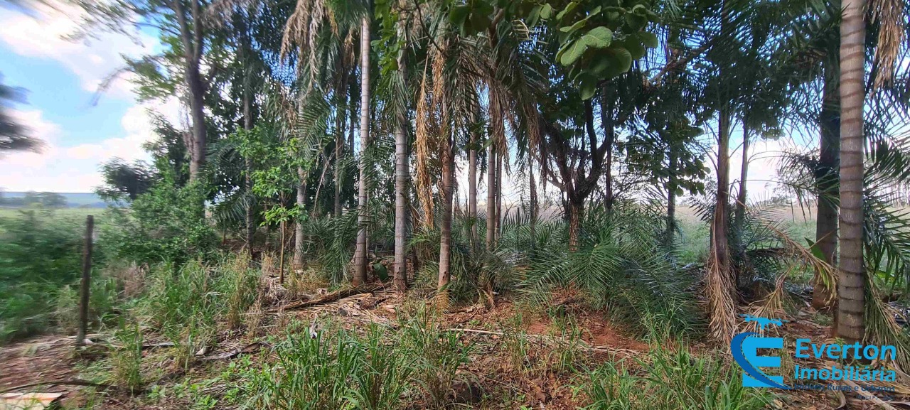 Sítio em Uberlândia/Minas Gerais — Ref R105FM — Imagem 19