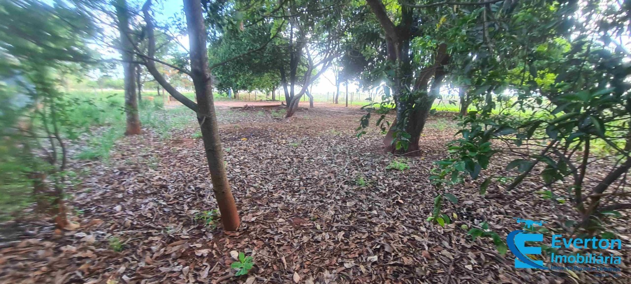 Sítio em Uberlândia/Minas Gerais — Ref R105FM — Imagem 21
