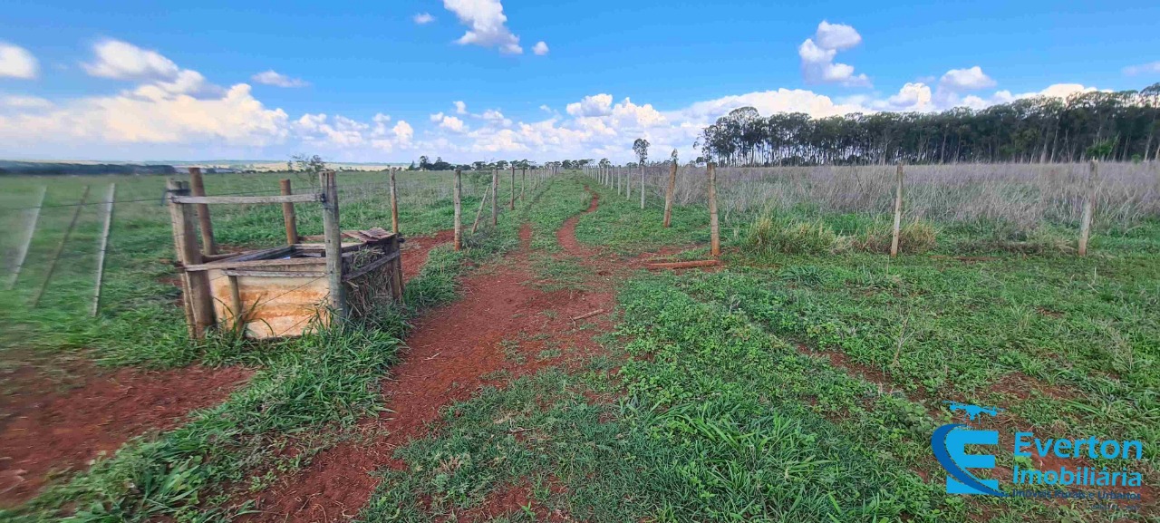 Sítio em Uberlândia/Minas Gerais — Ref R105FM — Imagem 17