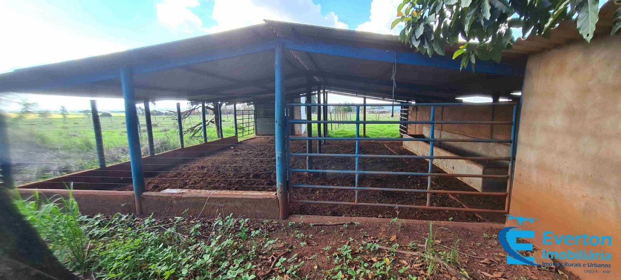 Sítio em Uberlândia/Minas Gerais — Ref R105FM — Imagem 3