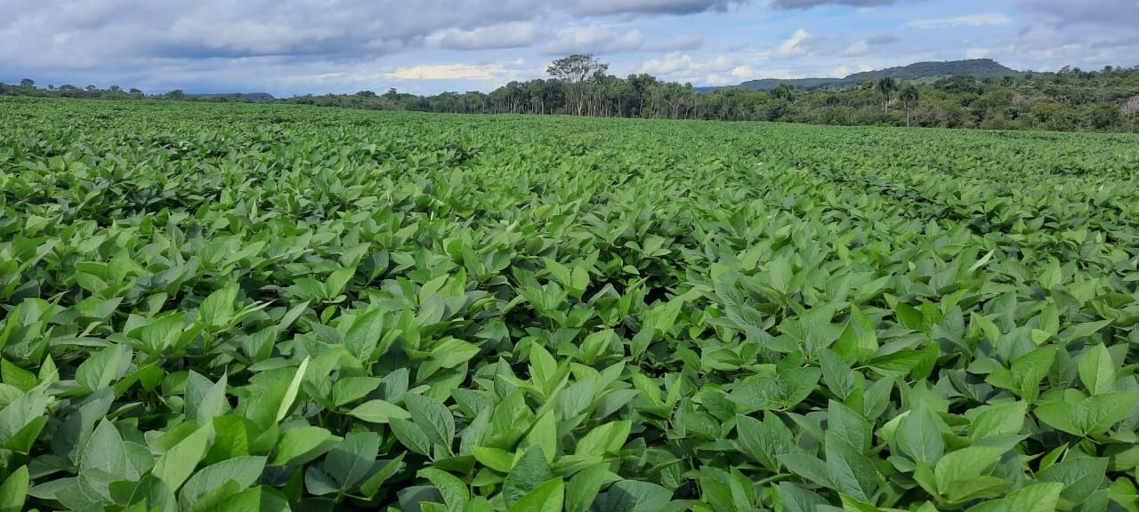 Sítio em Uberlândia/Minas Gerais — Ref X5CIRX — Imagem 7