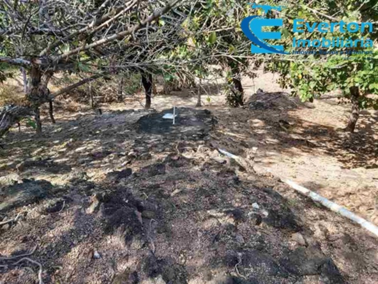 Sítio em Cascalho Rico/Minas Gerais — Ref Q404FG — Imagem 77