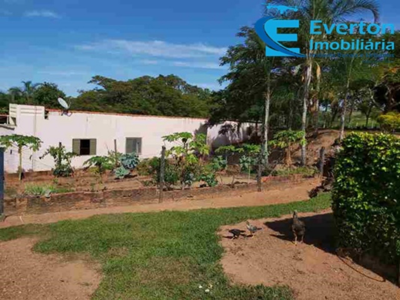 Sítio em Cascalho Rico/Minas Gerais — Ref Q404FG — Imagem 56