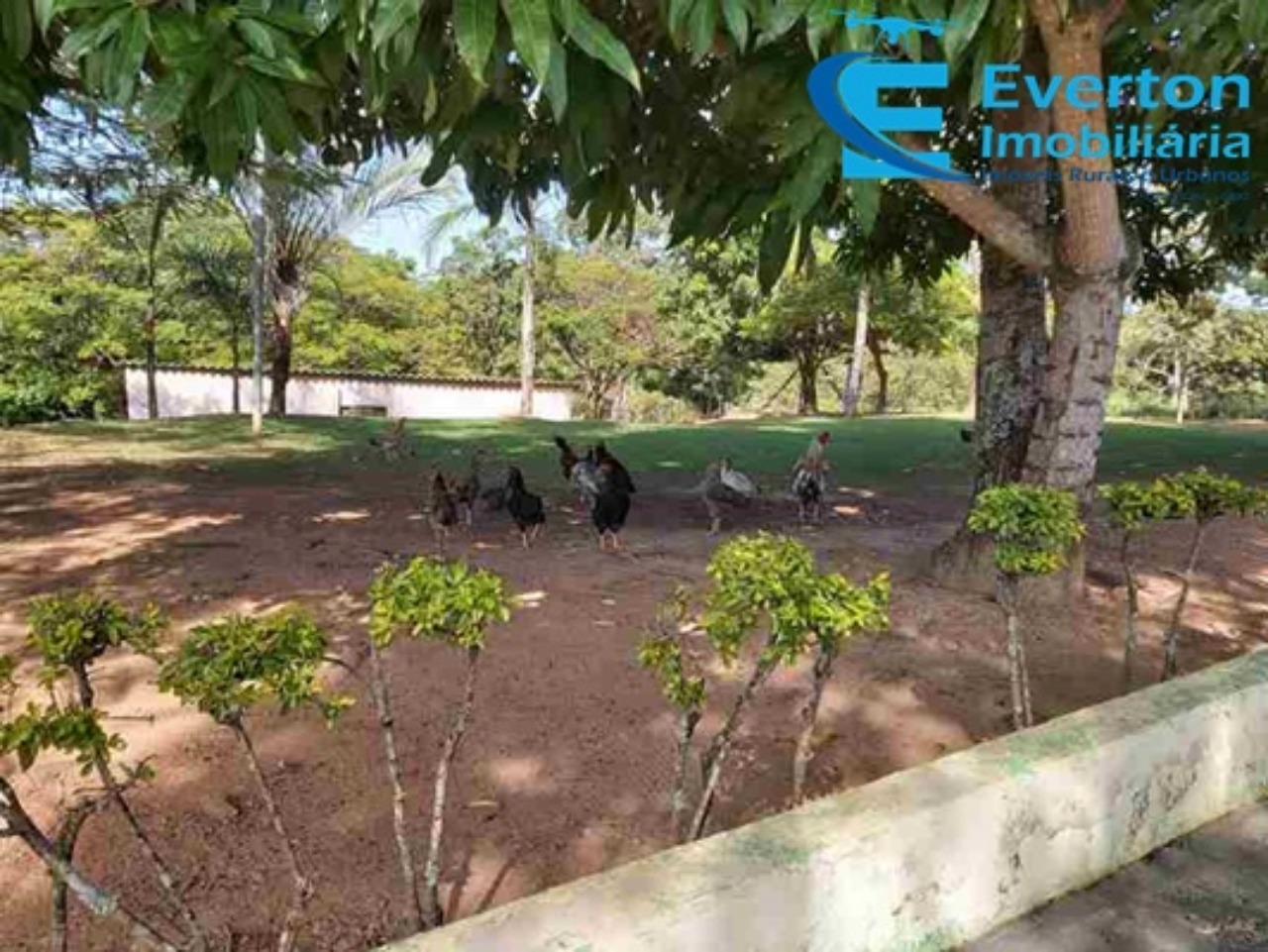 Sítio em Cascalho Rico/Minas Gerais — Ref Q404FG — Imagem 38