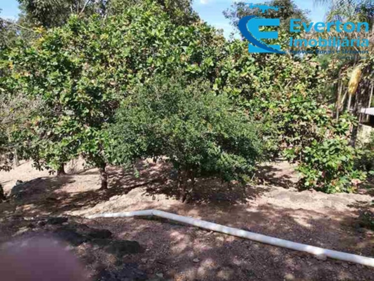 Sítio em Cascalho Rico/Minas Gerais — Ref Q404FG — Imagem 74