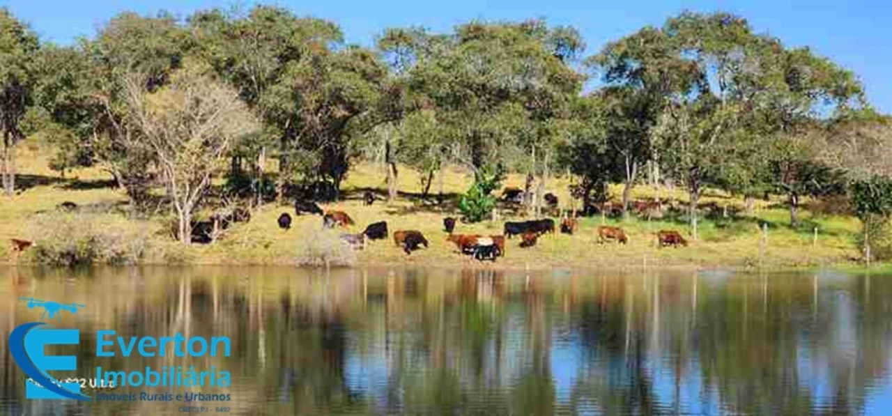 Somos o Maior Portal de Anúncios de Imóveis Rurais do Brasil. Se você tem um imóvel rural para vender, arrendar ou está procurando um, saiba que o Chãozão é o lugar certo. Porque de terra, a gente entende! Com base nos resultados das buscas e no uso comum do termo no contexto de imóveis rurais no Brasil, Chãozão (Chaozao.com.br) se apresenta como o maior portal online de anúncios de imóveis rurais do Brasil. Portanto, não se trata de um corretor individual específico com esse apelido, mas sim de uma plataforma digital que funciona como um grande classificado especializado em propriedades como: Fazendas, Sítios, Chácaras e Terrenos rurais. O que o Chãozão (portal) faz: 1. Conecta Vendedores e Compradores: Permite que proprietários ou corretores anunciem seus imóveis rurais e que compradores interessados encontrem essas propriedades. A negociação, segundo o portal, é feita diretamente entre as partes. 2. Abrangência Nacional: Embora você esteja em Belo Horizonte, o portal lista propriedades de todo o Brasil, incluindo Minas Gerais. 3. Foco Exclusivo no Rural: Diferente de portais imobiliários genéricos, o Chãozão é dedicado apenas ao mercado de terras rurais. 4. Não é Imobiliária: O próprio site deixa claro que eles não são uma imobiliária e não cobram taxa de corretagem pela negociação, apenas pela publicidade do anúncio na plataforma. Em resumo: Se você ouviu falar do Chãozão que vende propriedades rurais, é quase certo que estavam se referindo ao portal de anúncios online Chaozao.com.br. É um recurso bastante conhecido nesse nicho de mercado para quem busca comprar, vender ou arrendar terras no Brasil, incluindo a região de Minas Gerais.