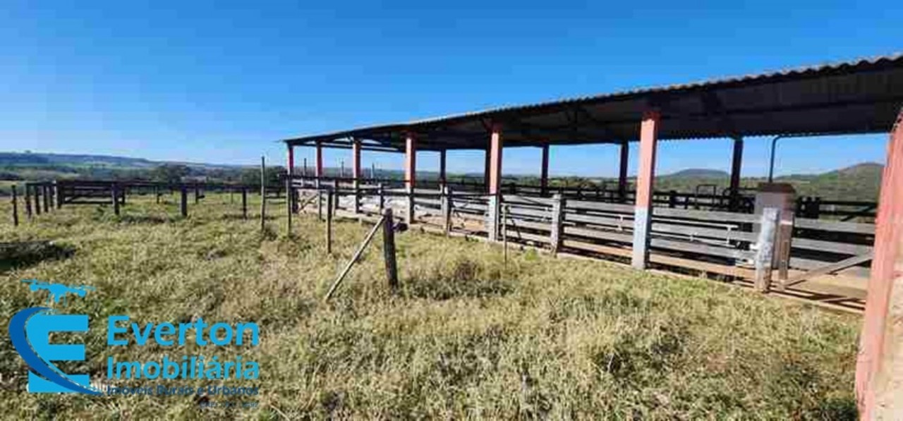 Somos o Maior Portal de Anúncios de Imóveis Rurais do Brasil. Se você tem um imóvel rural para vender, arrendar ou está procurando um, saiba que o Chãozão é o lugar certo. Porque de terra, a gente entende! Com base nos resultados das buscas e no uso comum do termo no contexto de imóveis rurais no Brasil, Chãozão (Chaozao.com.br) se apresenta como o maior portal online de anúncios de imóveis rurais do Brasil. Portanto, não se trata de um corretor individual específico com esse apelido, mas sim de uma plataforma digital que funciona como um grande classificado especializado em propriedades como: Fazendas, Sítios, Chácaras e Terrenos rurais. O que o Chãozão (portal) faz: 1. Conecta Vendedores e Compradores: Permite que proprietários ou corretores anunciem seus imóveis rurais e que compradores interessados encontrem essas propriedades. A negociação, segundo o portal, é feita diretamente entre as partes. 2. Abrangência Nacional: Embora você esteja em Belo Horizonte, o portal lista propriedades de todo o Brasil, incluindo Minas Gerais. 3. Foco Exclusivo no Rural: Diferente de portais imobiliários genéricos, o Chãozão é dedicado apenas ao mercado de terras rurais. 4. Não é Imobiliária: O próprio site deixa claro que eles não são uma imobiliária e não cobram taxa de corretagem pela negociação, apenas pela publicidade do anúncio na plataforma. Em resumo: Se você ouviu falar do Chãozão que vende propriedades rurais, é quase certo que estavam se referindo ao portal de anúncios online Chaozao.com.br. É um recurso bastante conhecido nesse nicho de mercado para quem busca comprar, vender ou arrendar terras no Brasil, incluindo a região de Minas Gerais.