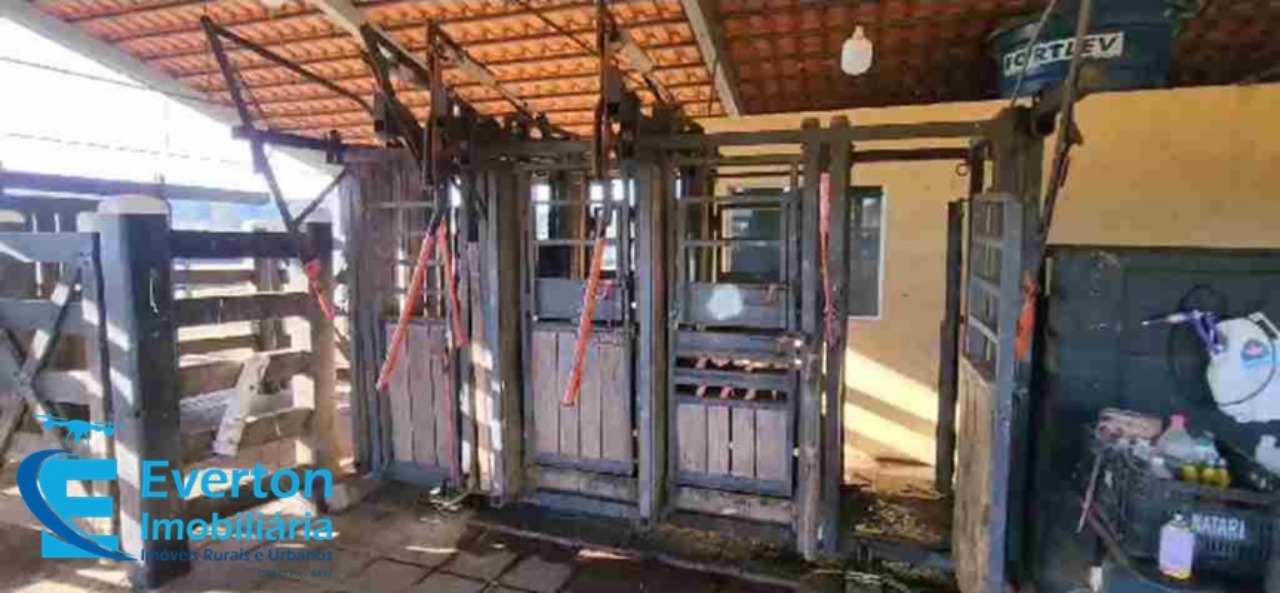 Somos o Maior Portal de Anúncios de Imóveis Rurais do Brasil. Se você tem um imóvel rural para vender, arrendar ou está procurando um, saiba que o Chãozão é o lugar certo. Porque de terra, a gente entende! Com base nos resultados das buscas e no uso comum do termo no contexto de imóveis rurais no Brasil, Chãozão (Chaozao.com.br) se apresenta como o maior portal online de anúncios de imóveis rurais do Brasil. Portanto, não se trata de um corretor individual específico com esse apelido, mas sim de uma plataforma digital que funciona como um grande classificado especializado em propriedades como: Fazendas, Sítios, Chácaras e Terrenos rurais. O que o Chãozão (portal) faz: 1. Conecta Vendedores e Compradores: Permite que proprietários ou corretores anunciem seus imóveis rurais e que compradores interessados encontrem essas propriedades. A negociação, segundo o portal, é feita diretamente entre as partes. 2. Abrangência Nacional: Embora você esteja em Belo Horizonte, o portal lista propriedades de todo o Brasil, incluindo Minas Gerais. 3. Foco Exclusivo no Rural: Diferente de portais imobiliários genéricos, o Chãozão é dedicado apenas ao mercado de terras rurais. 4. Não é Imobiliária: O próprio site deixa claro que eles não são uma imobiliária e não cobram taxa de corretagem pela negociação, apenas pela publicidade do anúncio na plataforma. Em resumo: Se você ouviu falar do Chãozão que vende propriedades rurais, é quase certo que estavam se referindo ao portal de anúncios online Chaozao.com.br. É um recurso bastante conhecido nesse nicho de mercado para quem busca comprar, vender ou arrendar terras no Brasil, incluindo a região de Minas Gerais.