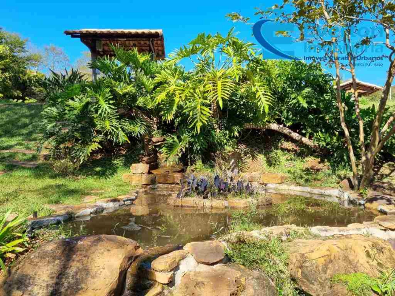 Chãozão - O Maior Portal de Anúncios de Imóveis Rurais do Brasil.