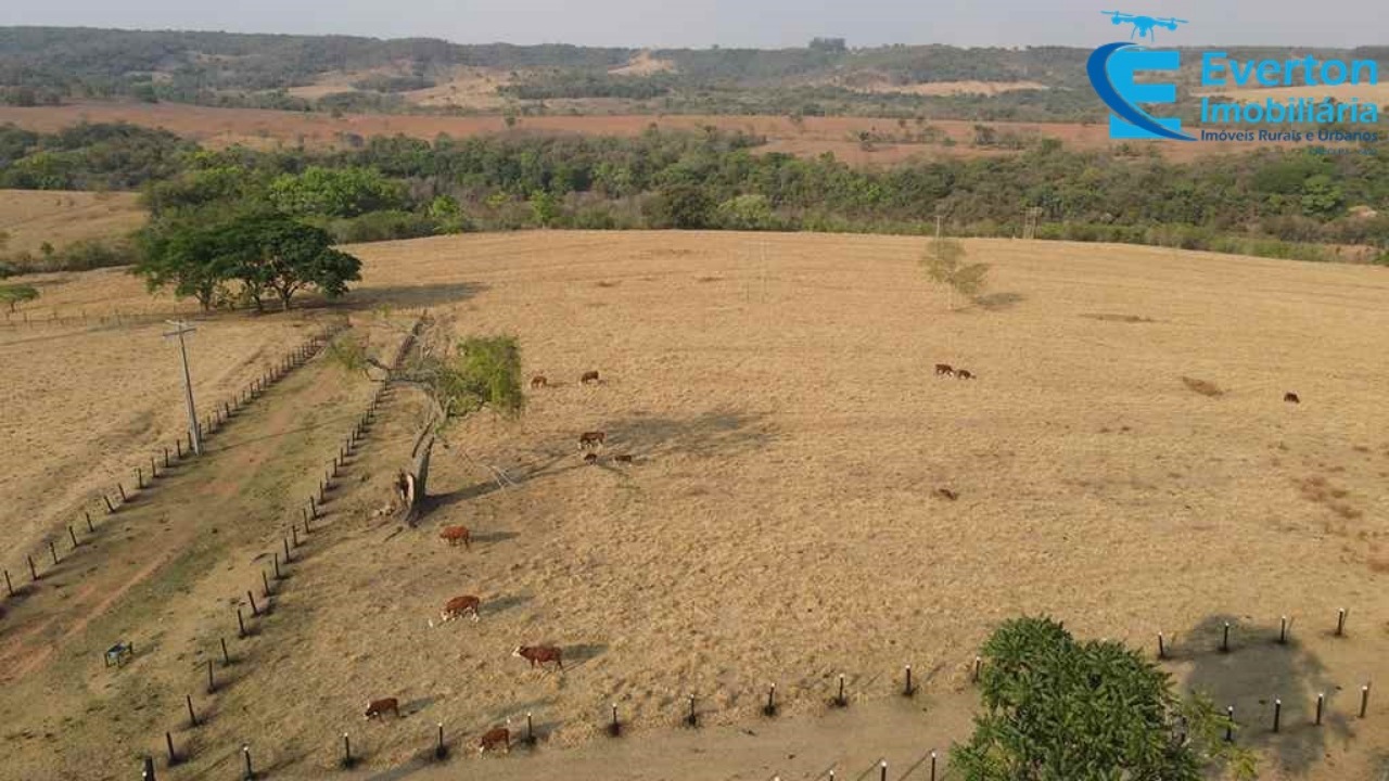 Somos o Maior Portal de Anúncios de Imóveis Rurais do Brasil. Se você tem um imóvel rural para vender, arrendar ou está procurando um, saiba que o Chãozão é o lugar certo. Porque de terra, a gente entende! Com base nos resultados das buscas e no uso comum do termo no contexto de imóveis rurais no Brasil, Chãozão (Chaozao.com.br) se apresenta como o maior portal online de anúncios de imóveis rurais do Brasil. Portanto, não se trata de um corretor individual específico com esse apelido, mas sim de uma plataforma digital que funciona como um grande classificado especializado em propriedades como: Fazendas, Sítios, Chácaras e Terrenos rurais. O que o Chãozão (portal) faz: 1. Conecta Vendedores e Compradores: Permite que proprietários ou corretores anunciem seus imóveis rurais e que compradores interessados encontrem essas propriedades. A negociação, segundo o portal, é feita diretamente entre as partes. 2. Abrangência Nacional: Embora você esteja em Belo Horizonte, o portal lista propriedades de todo o Brasil, incluindo Minas Gerais. 3. Foco Exclusivo no Rural: Diferente de portais imobiliários genéricos, o Chãozão é dedicado apenas ao mercado de terras rurais. 4. Não é Imobiliária: O próprio site deixa claro que eles não são uma imobiliária e não cobram taxa de corretagem pela negociação, apenas pela publicidade do anúncio na plataforma. Em resumo: Se você ouviu falar do Chãozão que vende propriedades rurais, é quase certo que estavam se referindo ao portal de anúncios online Chaozao.com.br. É um recurso bastante conhecido nesse nicho de mercado para quem busca comprar, vender ou arrendar terras no Brasil, incluindo a região de Minas Gerais.