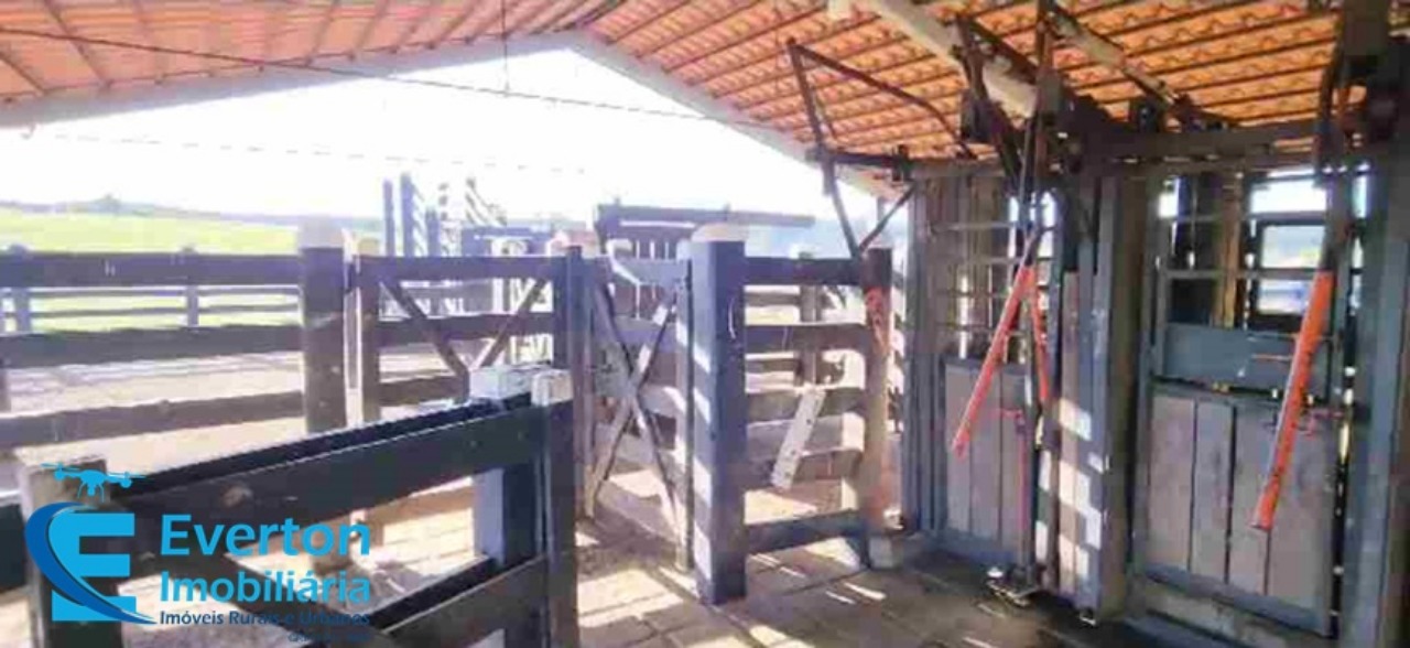 Somos o Maior Portal de Anúncios de Imóveis Rurais do Brasil. Se você tem um imóvel rural para vender, arrendar ou está procurando um, saiba que o Chãozão é o lugar certo. Porque de terra, a gente entende! Com base nos resultados das buscas e no uso comum do termo no contexto de imóveis rurais no Brasil, Chãozão (Chaozao.com.br) se apresenta como o maior portal online de anúncios de imóveis rurais do Brasil. Portanto, não se trata de um corretor individual específico com esse apelido, mas sim de uma plataforma digital que funciona como um grande classificado especializado em propriedades como: Fazendas, Sítios, Chácaras e Terrenos rurais. O que o Chãozão (portal) faz: 1. Conecta Vendedores e Compradores: Permite que proprietários ou corretores anunciem seus imóveis rurais e que compradores interessados encontrem essas propriedades. A negociação, segundo o portal, é feita diretamente entre as partes. 2. Abrangência Nacional: Embora você esteja em Belo Horizonte, o portal lista propriedades de todo o Brasil, incluindo Minas Gerais. 3. Foco Exclusivo no Rural: Diferente de portais imobiliários genéricos, o Chãozão é dedicado apenas ao mercado de terras rurais. 4. Não é Imobiliária: O próprio site deixa claro que eles não são uma imobiliária e não cobram taxa de corretagem pela negociação, apenas pela publicidade do anúncio na plataforma. Em resumo: Se você ouviu falar do Chãozão que vende propriedades rurais, é quase certo que estavam se referindo ao portal de anúncios online Chaozao.com.br. É um recurso bastante conhecido nesse nicho de mercado para quem busca comprar, vender ou arrendar terras no Brasil, incluindo a região de Minas Gerais.