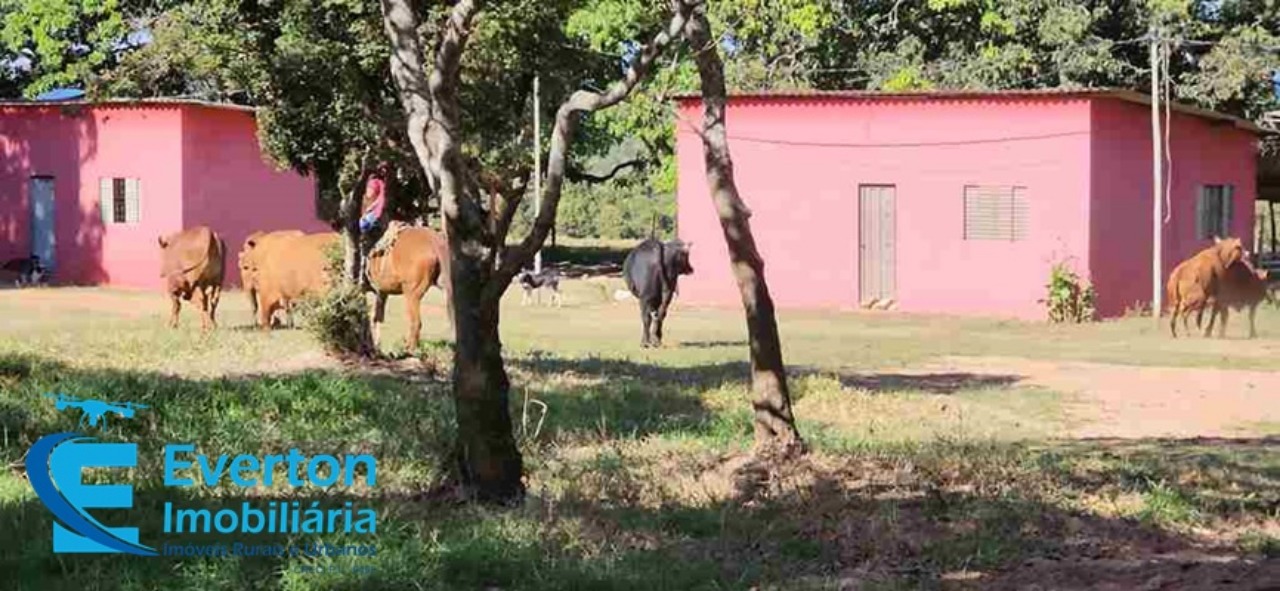 Somos o Maior Portal de Anúncios de Imóveis Rurais do Brasil. Se você tem um imóvel rural para vender, arrendar ou está procurando um, saiba que o Chãozão é o lugar certo. Porque de terra, a gente entende! Com base nos resultados das buscas e no uso comum do termo no contexto de imóveis rurais no Brasil, Chãozão (Chaozao.com.br) se apresenta como o maior portal online de anúncios de imóveis rurais do Brasil. Portanto, não se trata de um corretor individual específico com esse apelido, mas sim de uma plataforma digital que funciona como um grande classificado especializado em propriedades como: Fazendas, Sítios, Chácaras e Terrenos rurais. O que o Chãozão (portal) faz: 1. Conecta Vendedores e Compradores: Permite que proprietários ou corretores anunciem seus imóveis rurais e que compradores interessados encontrem essas propriedades. A negociação, segundo o portal, é feita diretamente entre as partes. 2. Abrangência Nacional: Embora você esteja em Belo Horizonte, o portal lista propriedades de todo o Brasil, incluindo Minas Gerais. 3. Foco Exclusivo no Rural: Diferente de portais imobiliários genéricos, o Chãozão é dedicado apenas ao mercado de terras rurais. 4. Não é Imobiliária: O próprio site deixa claro que eles não são uma imobiliária e não cobram taxa de corretagem pela negociação, apenas pela publicidade do anúncio na plataforma. Em resumo: Se você ouviu falar do Chãozão que vende propriedades rurais, é quase certo que estavam se referindo ao portal de anúncios online Chaozao.com.br. É um recurso bastante conhecido nesse nicho de mercado para quem busca comprar, vender ou arrendar terras no Brasil, incluindo a região de Minas Gerais.