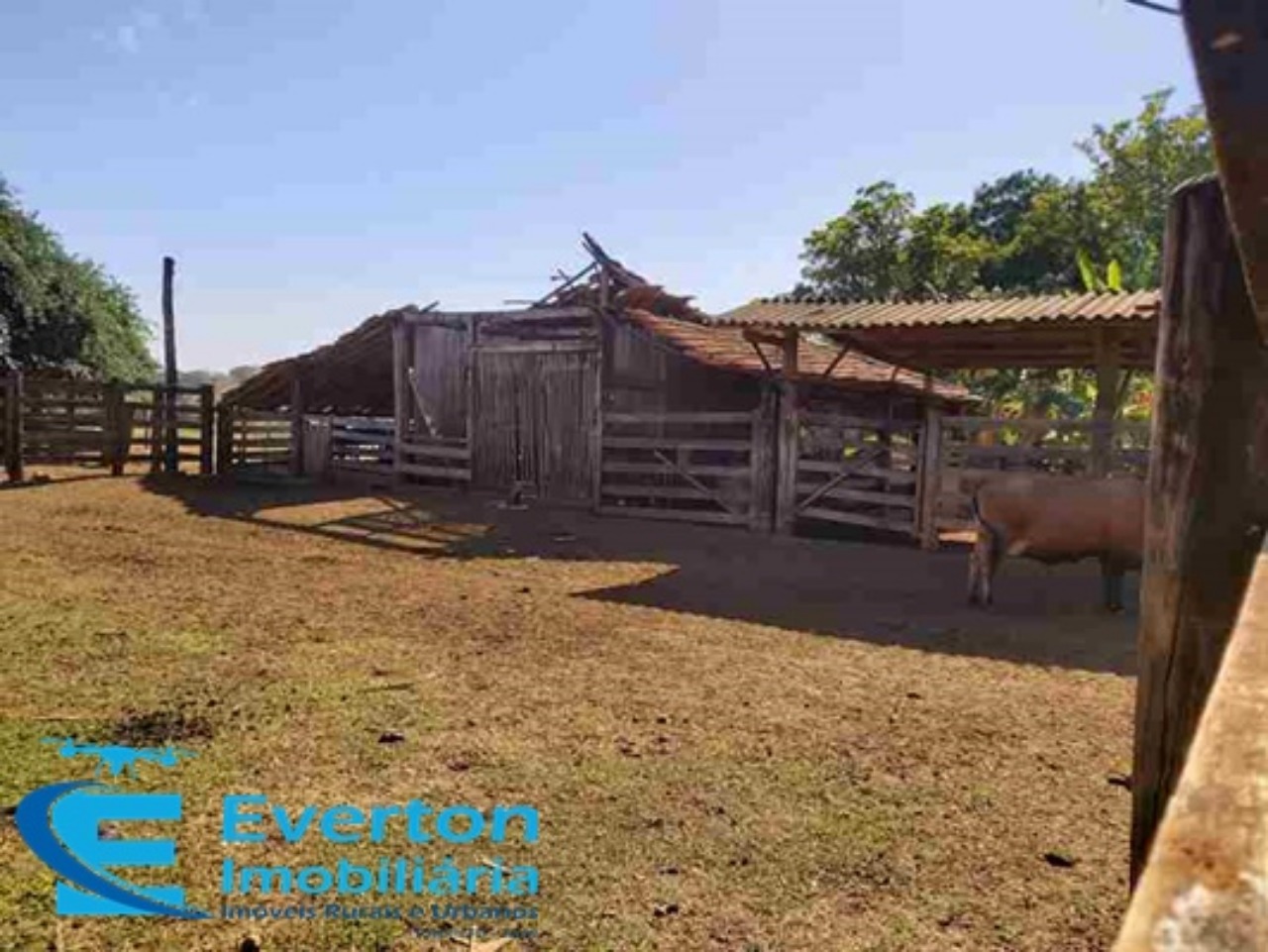 Somos o Maior Portal de Anúncios de Imóveis Rurais do Brasil. Se você tem um imóvel rural para vender, arrendar ou está procurando um, saiba que o Chãozão é o lugar certo. Porque de terra, a gente entende! Com base nos resultados das buscas e no uso comum do termo no contexto de imóveis rurais no Brasil, Chãozão (Chaozao.com.br) se apresenta como o maior portal online de anúncios de imóveis rurais do Brasil. Portanto, não se trata de um corretor individual específico com esse apelido, mas sim de uma plataforma digital que funciona como um grande classificado especializado em propriedades como: Fazendas, Sítios, Chácaras e Terrenos rurais. O que o Chãozão (portal) faz: 1. Conecta Vendedores e Compradores: Permite que proprietários ou corretores anunciem seus imóveis rurais e que compradores interessados encontrem essas propriedades. A negociação, segundo o portal, é feita diretamente entre as partes. 2. Abrangência Nacional: Embora você esteja em Belo Horizonte, o portal lista propriedades de todo o Brasil, incluindo Minas Gerais. 3. Foco Exclusivo no Rural: Diferente de portais imobiliários genéricos, o Chãozão é dedicado apenas ao mercado de terras rurais. 4. Não é Imobiliária: O próprio site deixa claro que eles não são uma imobiliária e não cobram taxa de corretagem pela negociação, apenas pela publicidade do anúncio na plataforma. Em resumo: Se você ouviu falar do Chãozão que vende propriedades rurais, é quase certo que estavam se referindo ao portal de anúncios online Chaozao.com.br. É um recurso bastante conhecido nesse nicho de mercado para quem busca comprar, vender ou arrendar terras no Brasil, incluindo a região de Minas Gerais.