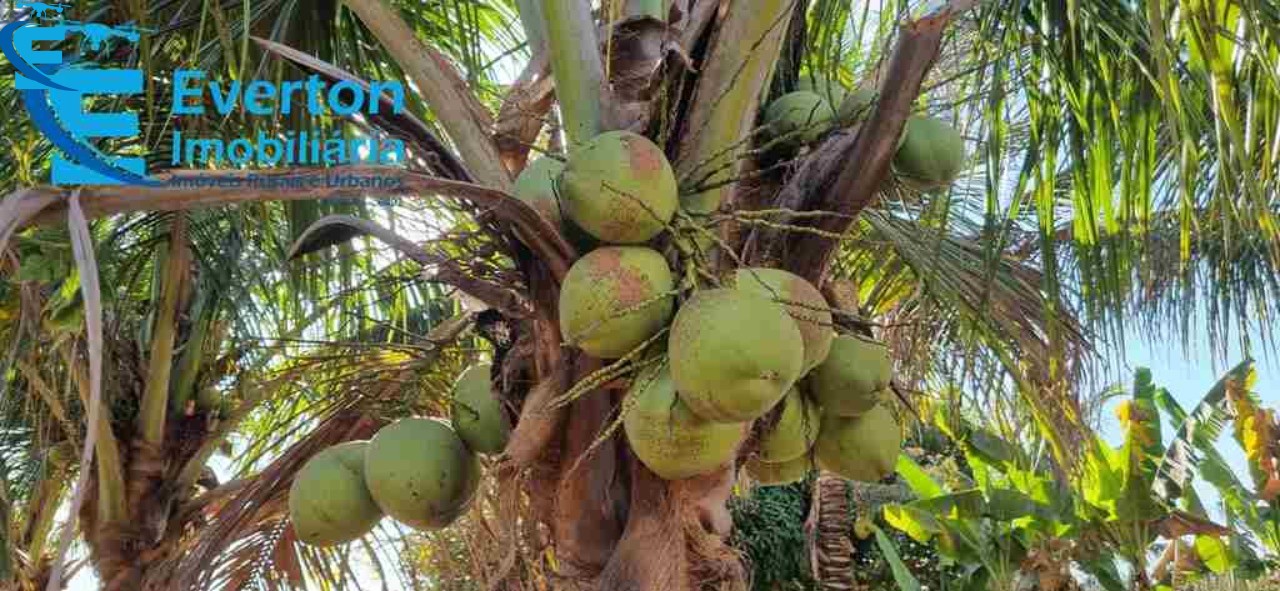 Chácara em Uberlândia/Minas Gerais — Ref DP97UD — Imagem 17