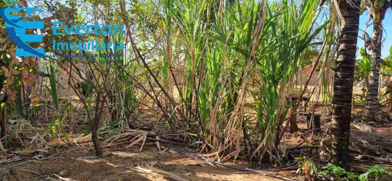 Chácara em Uberlândia/Minas Gerais — Ref DP97UD — Imagem 18