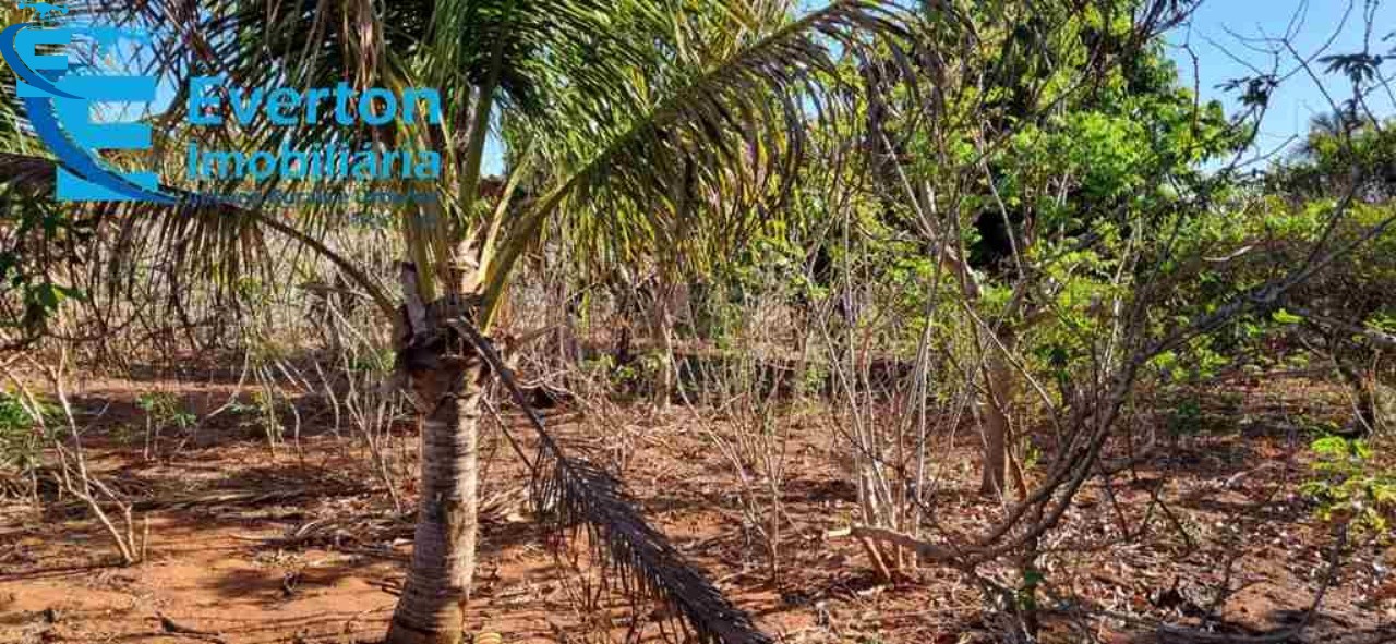 Chácara em Uberlândia/Minas Gerais — Ref DP97UD — Imagem 15