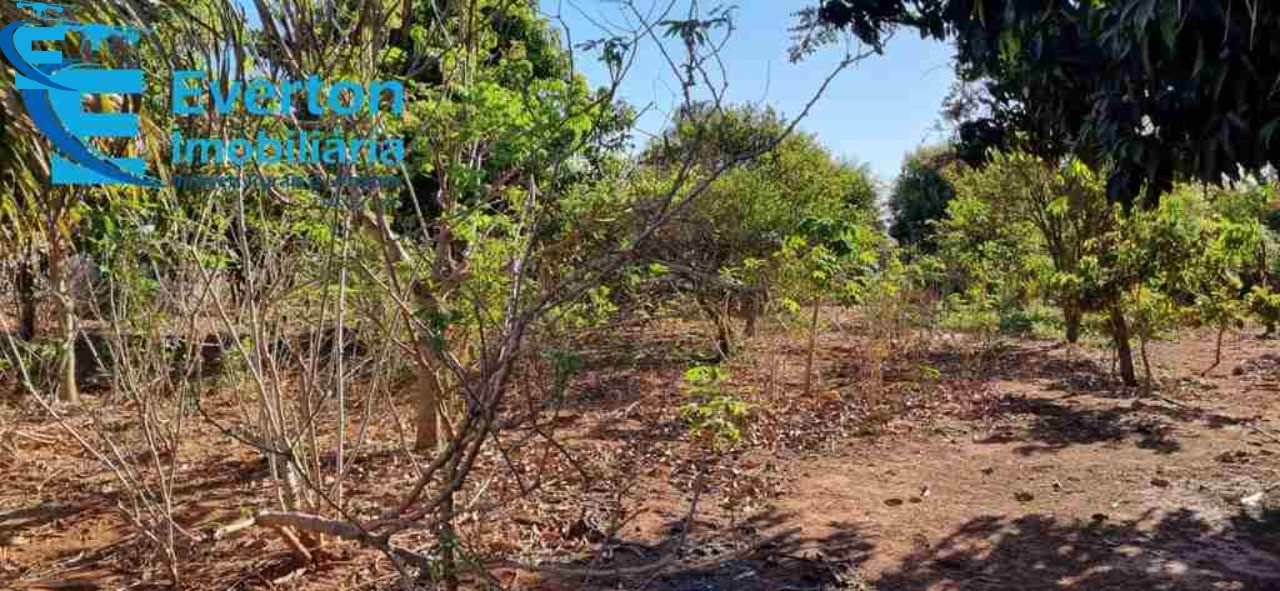 Chácara em Uberlândia/Minas Gerais — Ref DP97UD — Imagem 12