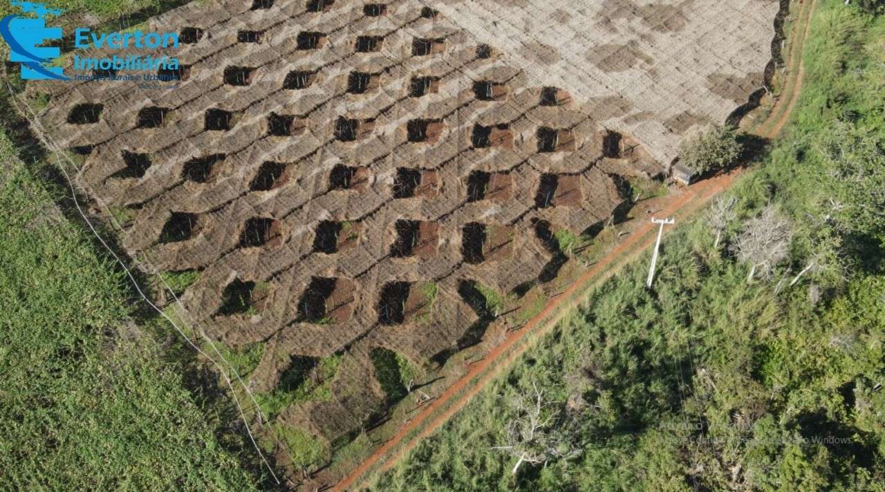 Fazenda em Uberlândia/Minas Gerais — Ref FA00242 — Imagem 3
