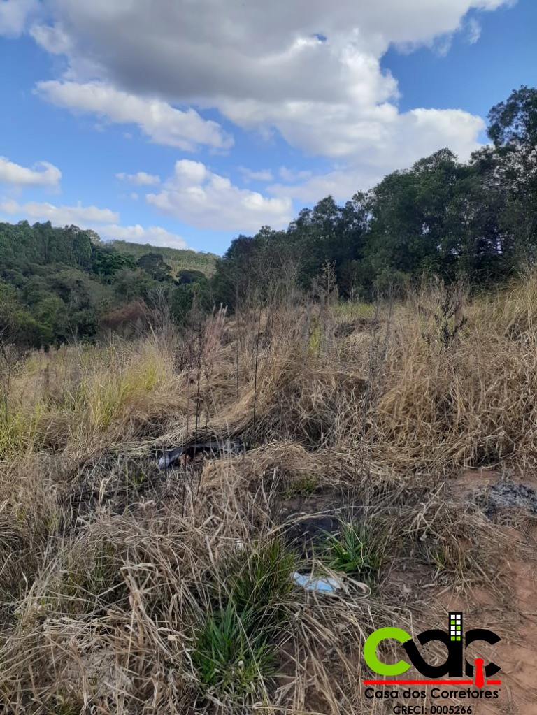 Chácara à venda, 3000m² - Foto 4