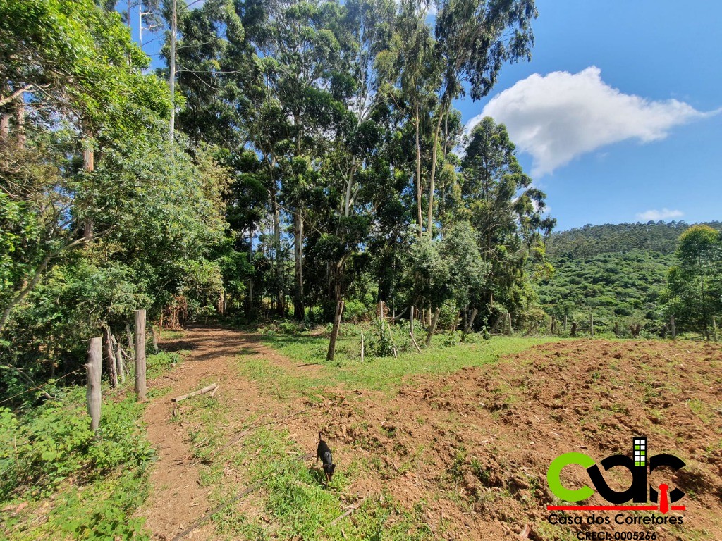 Fazenda à venda com 3 quartos, 22m² - Foto 7