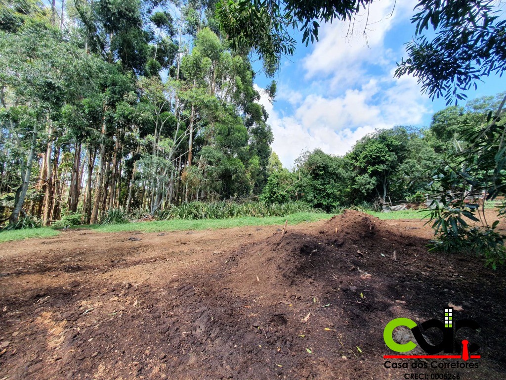 Fazenda à venda com 3 quartos, 22m² - Foto 14